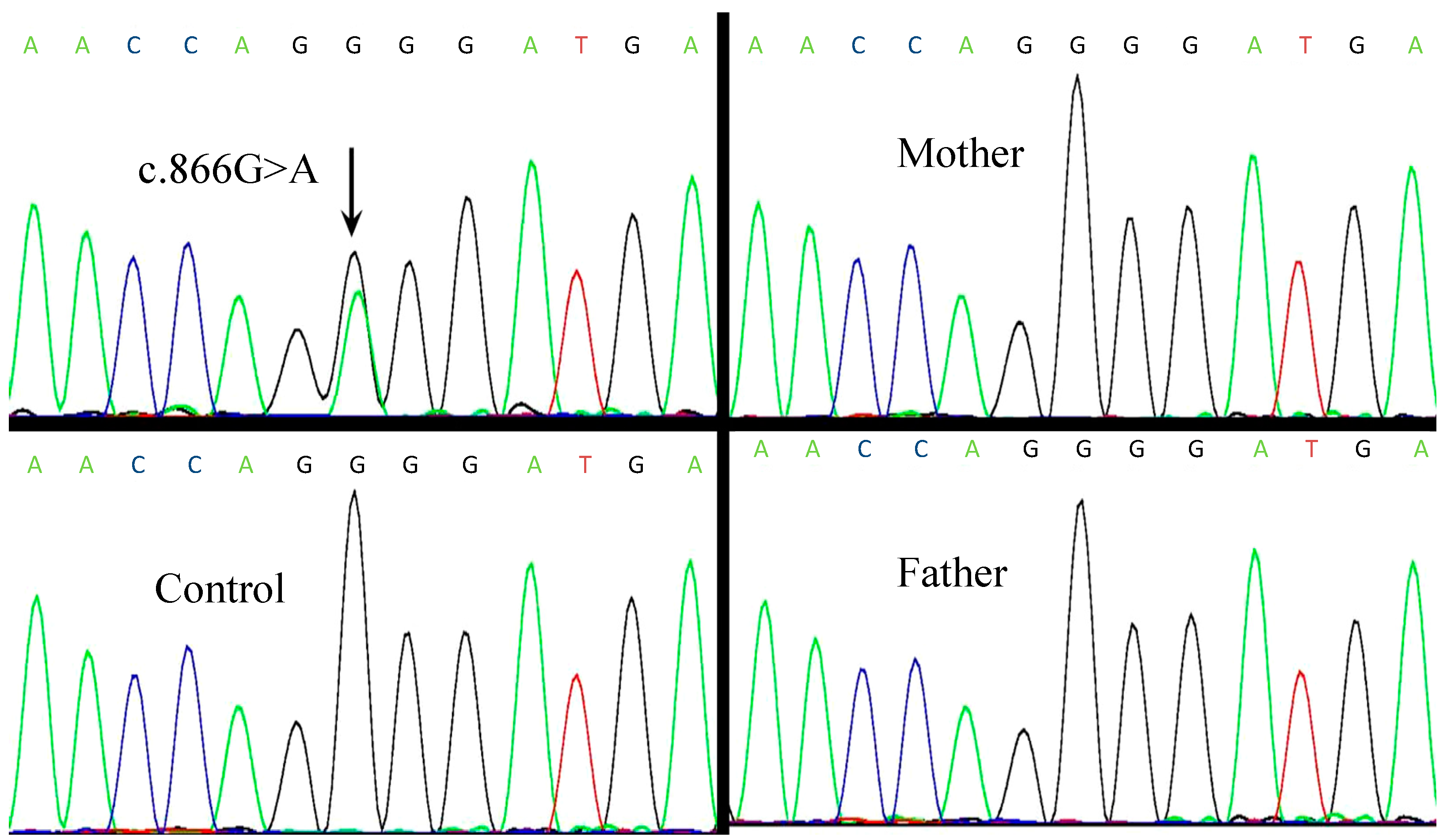 Ijms 15 13267 g002 1024