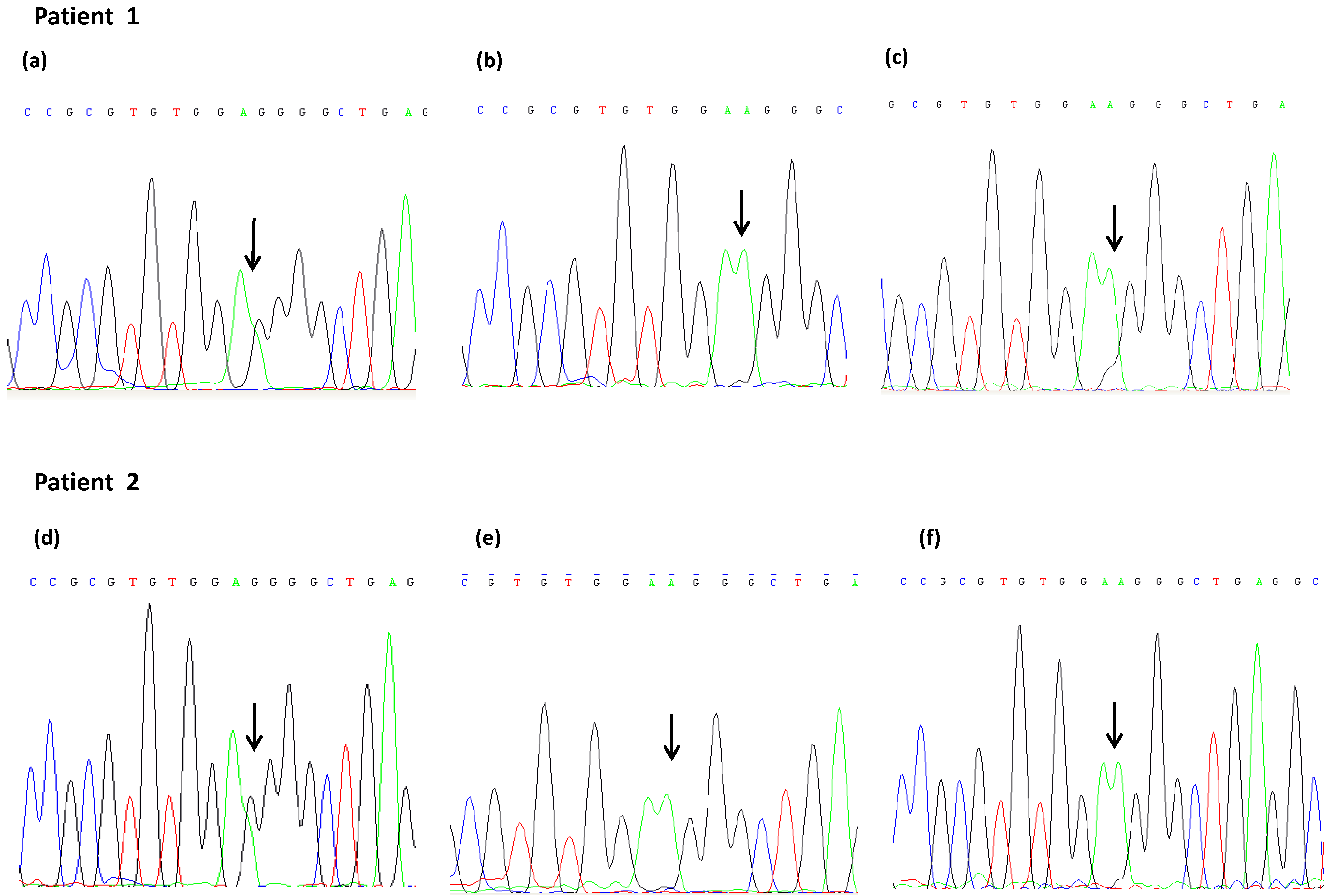 Ijms 15 13333 g001 1024