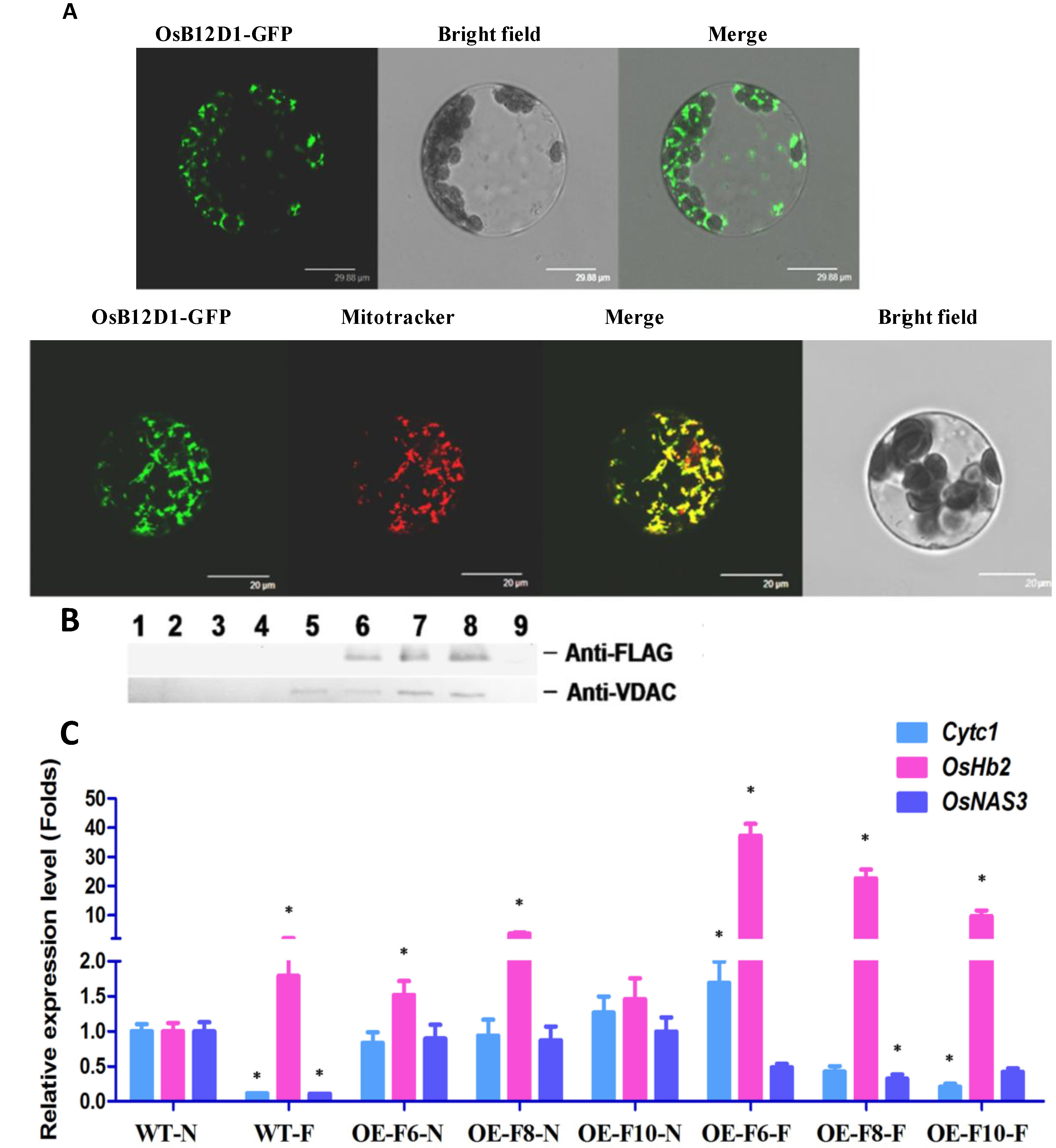 Ijms 15 13461 g005 1024