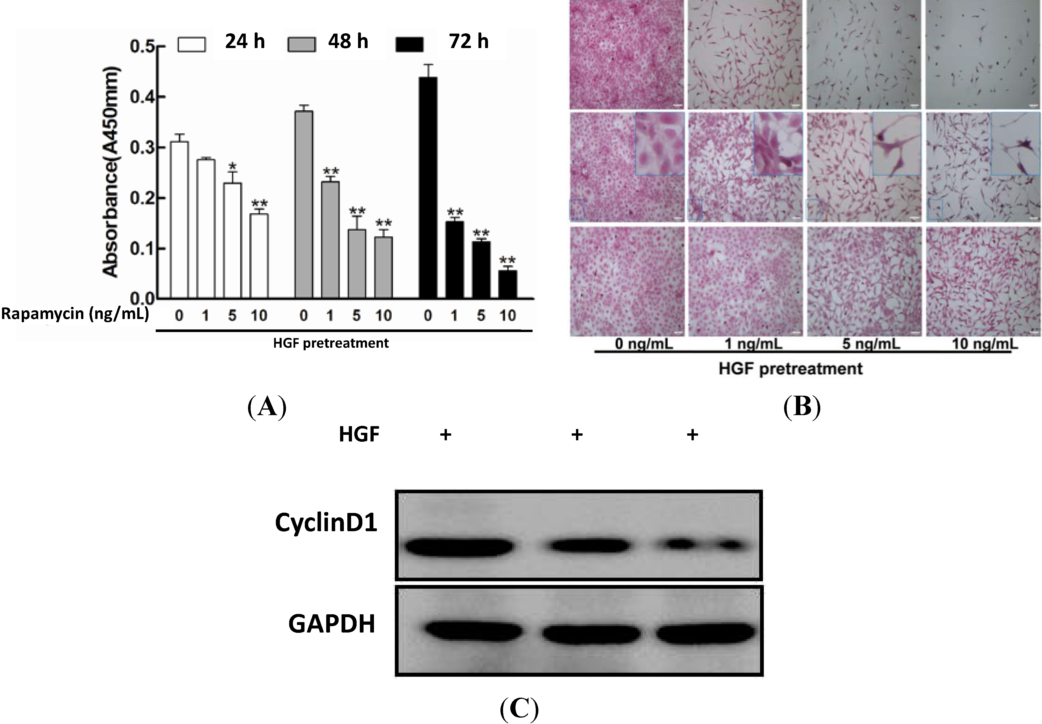 Ijms 15 13833 g001 1024