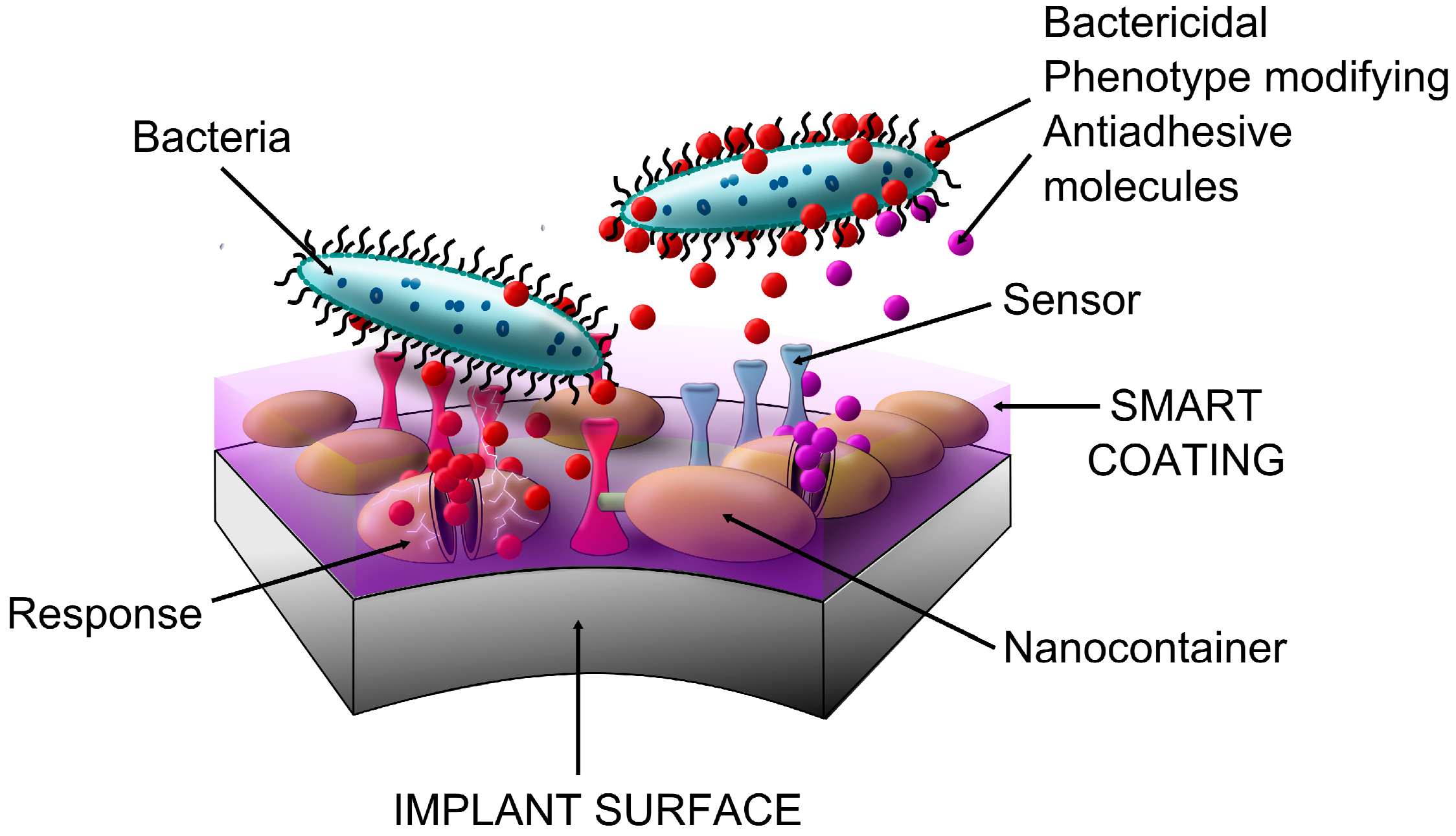 Frontiers  Antibacterial intraosseous implant surface coating