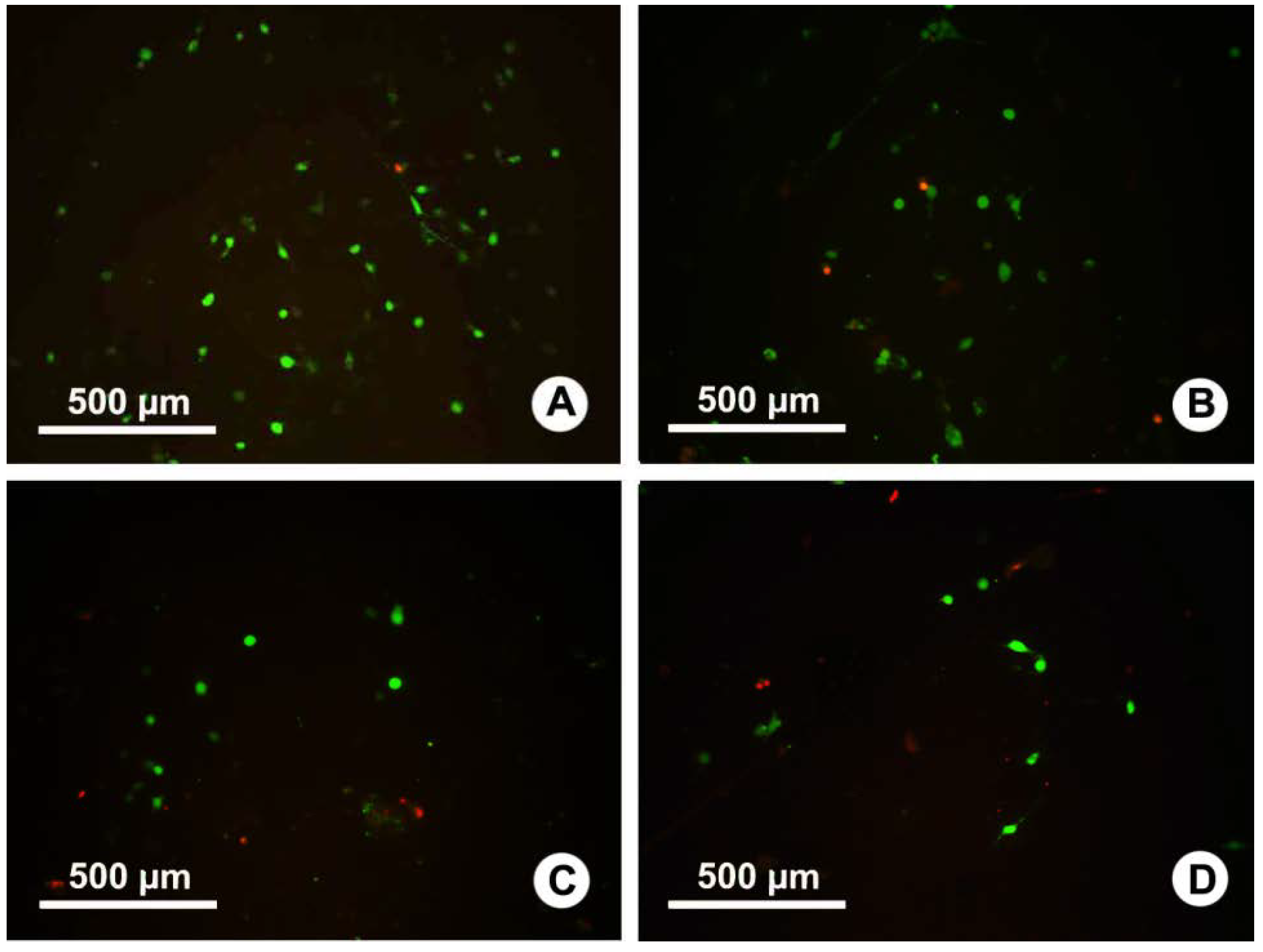 Ijms 15 14014 g004 1024