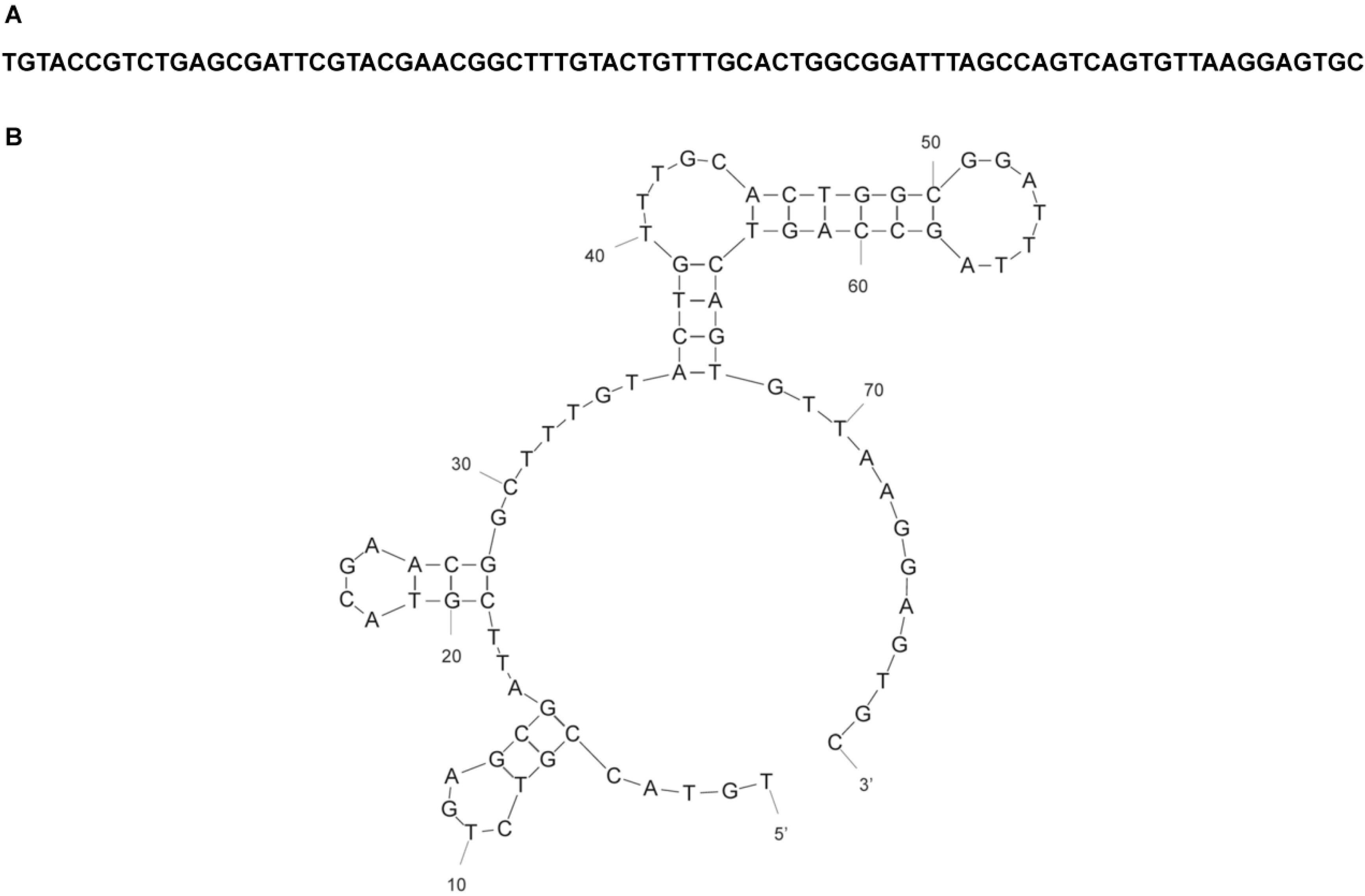 Ijms 15 14332 g003 1024