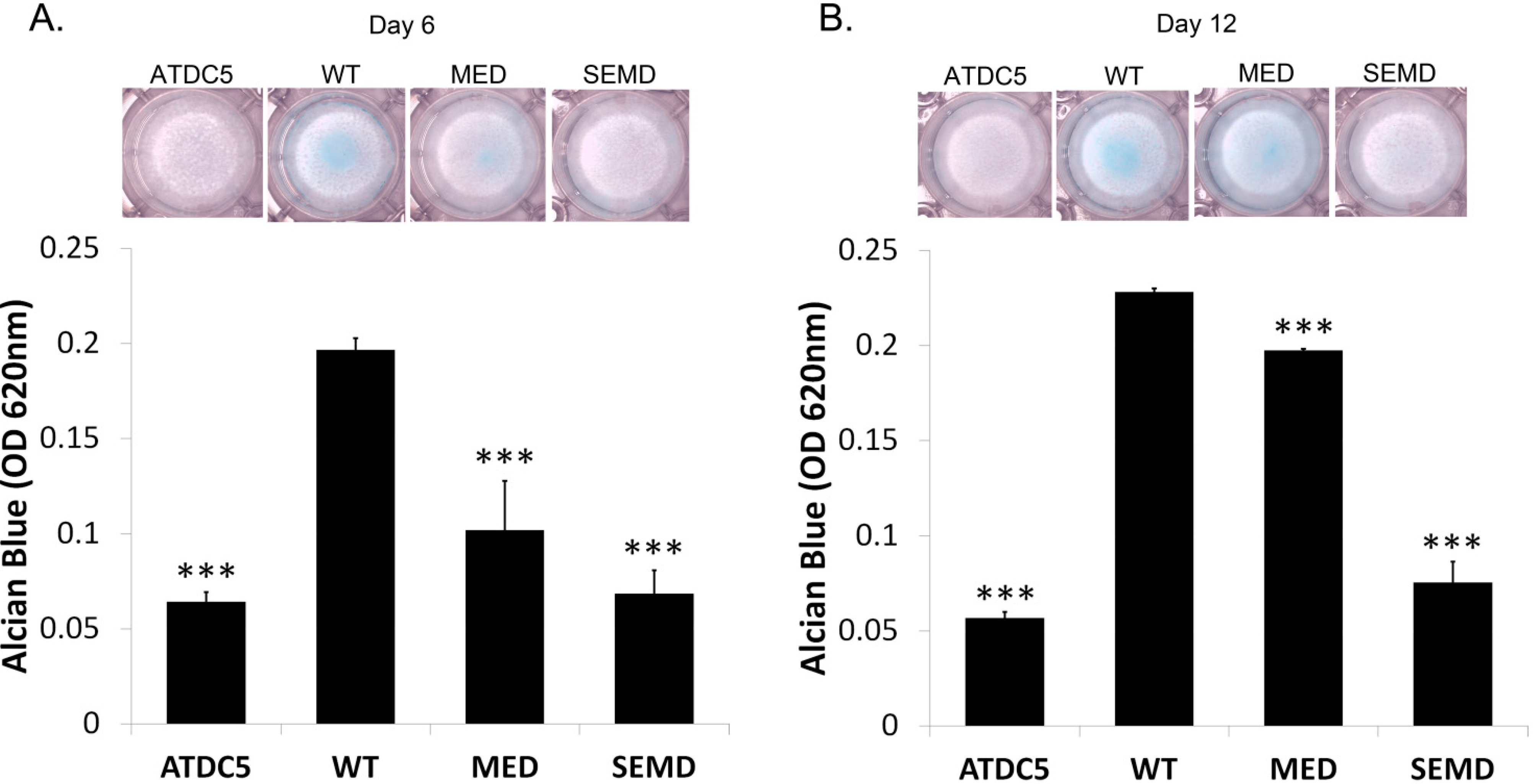 Ijms 15 14555 g003 1024