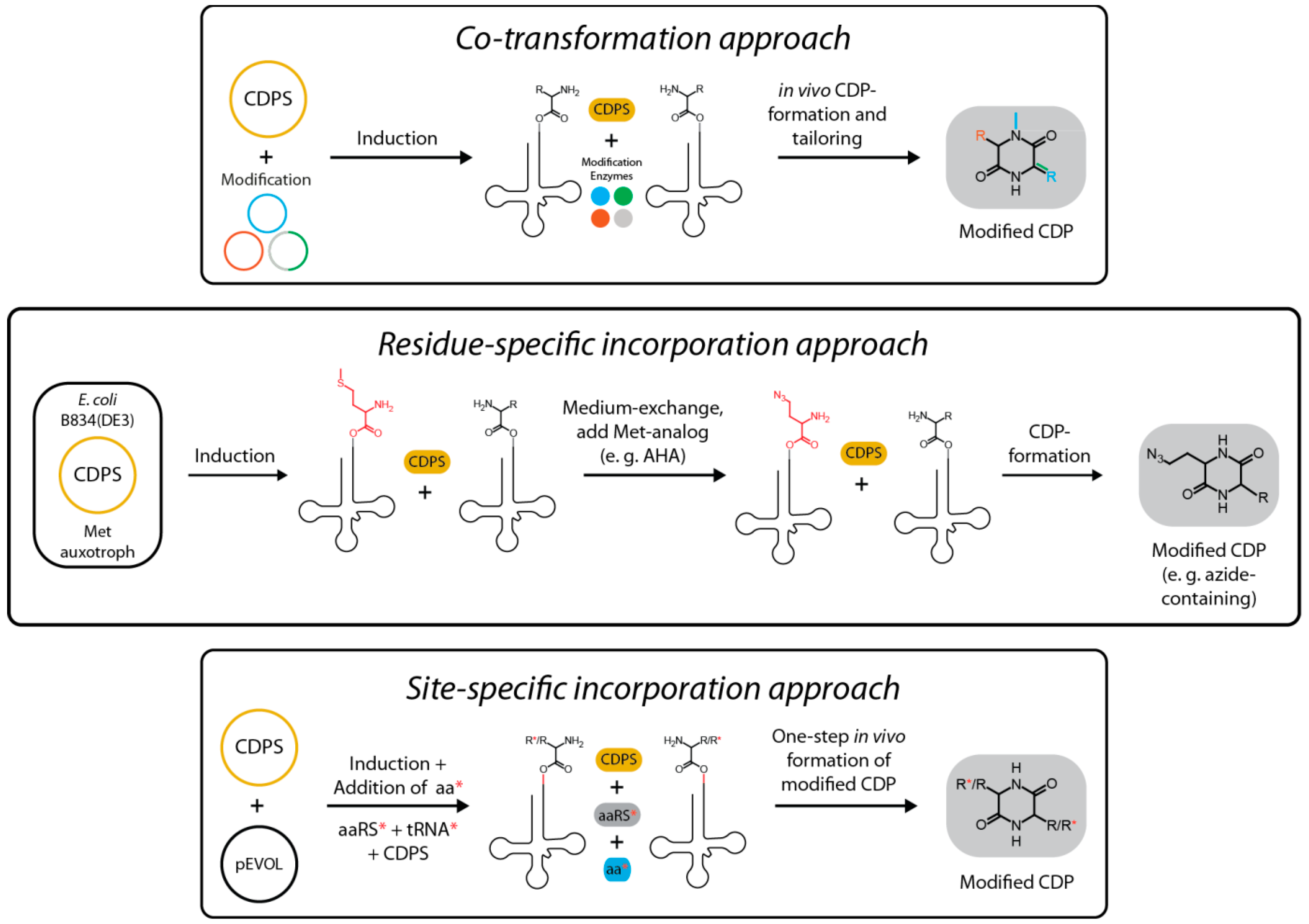 Ijms 15 14610 g009 1024