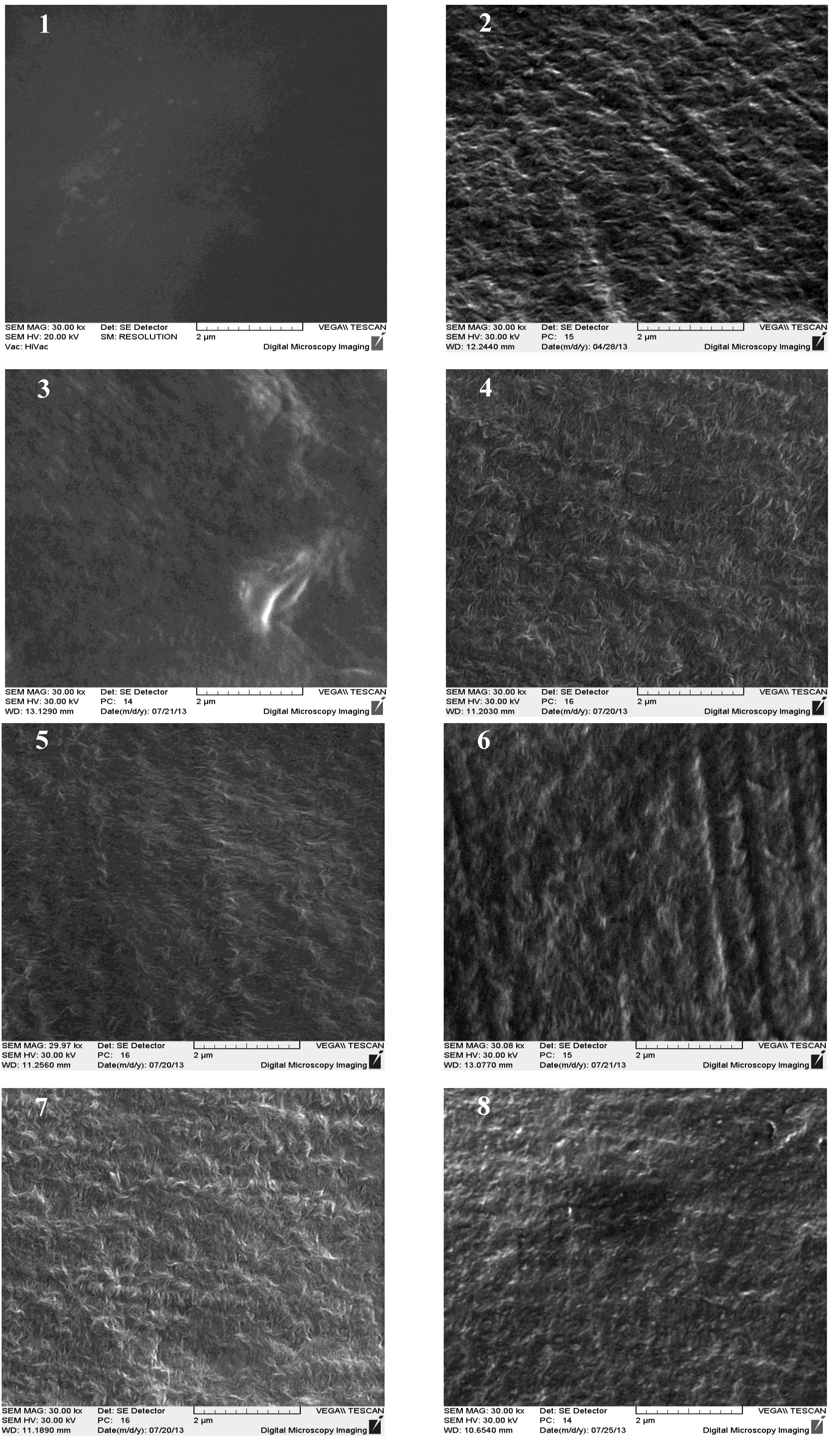 Ijms 15 14684 g001 1024