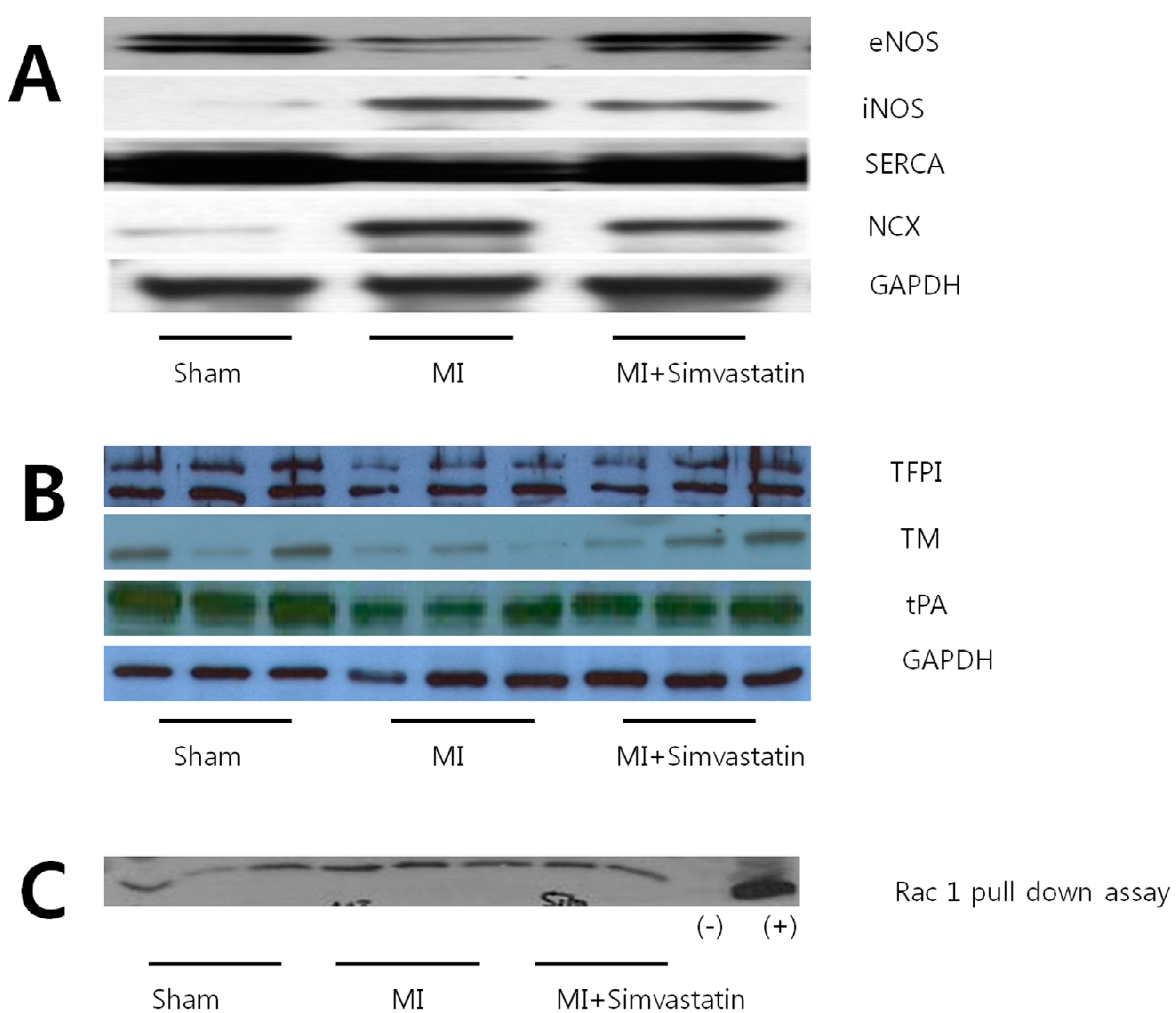 Ijms 15 14803 g005 1024