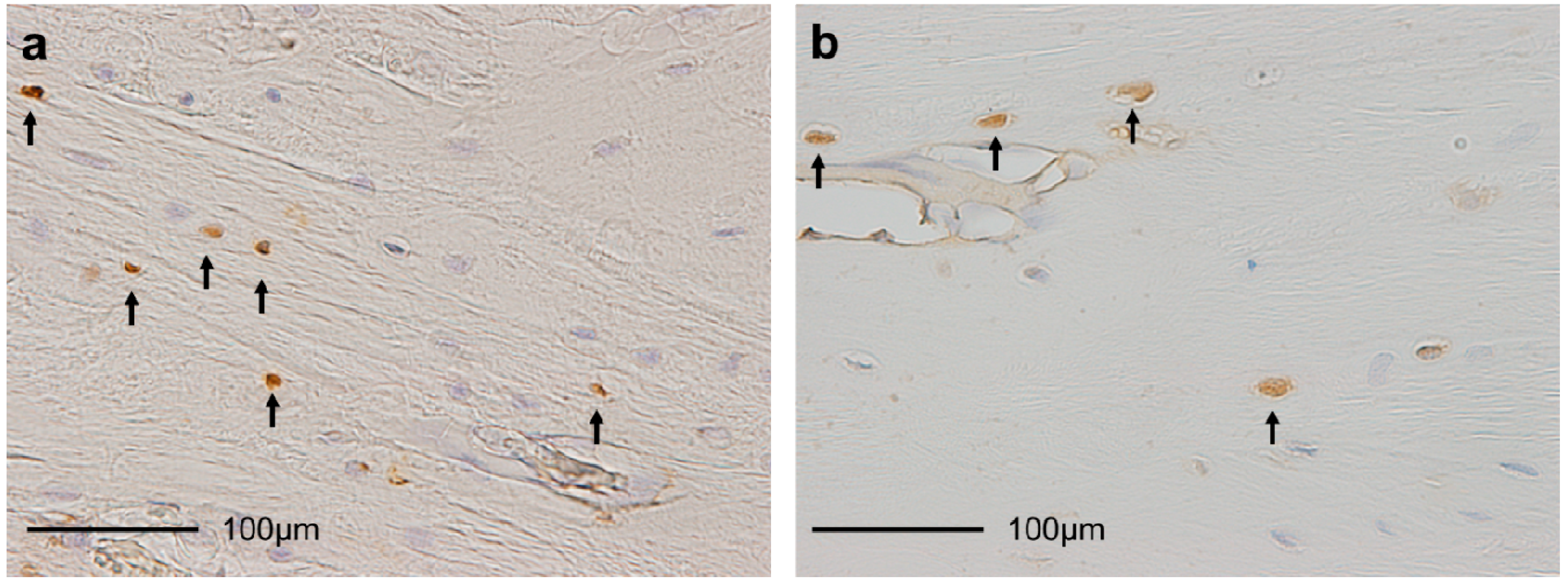 Ijms 15 14835 g001 1024