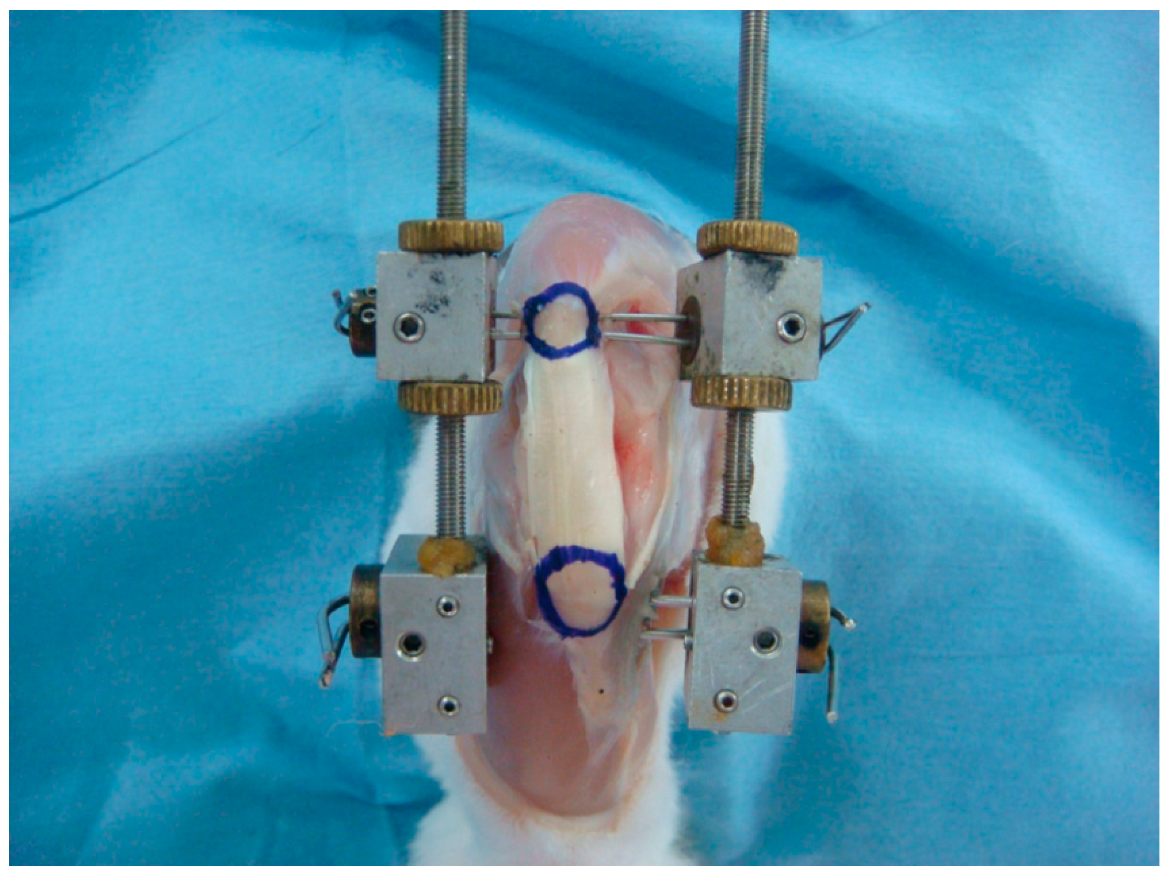 Ijms 15 14835 g008 1024