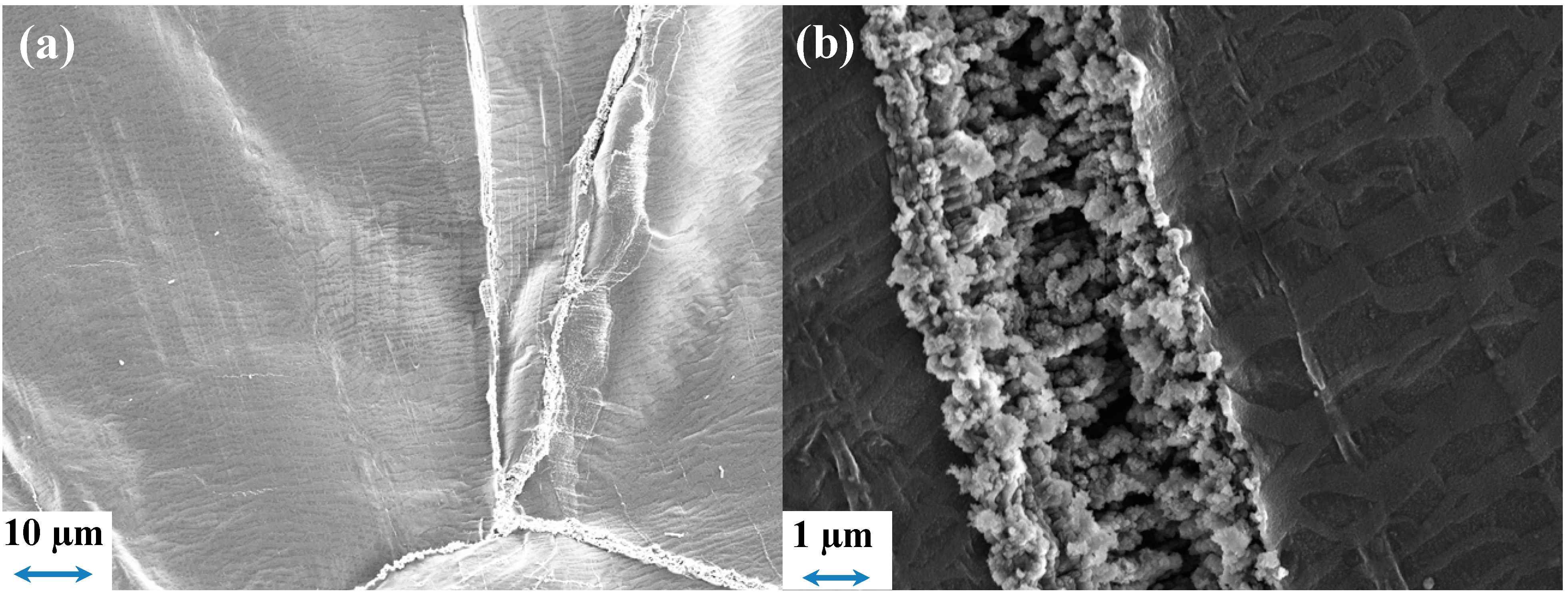 Ijms 15 14868 g009