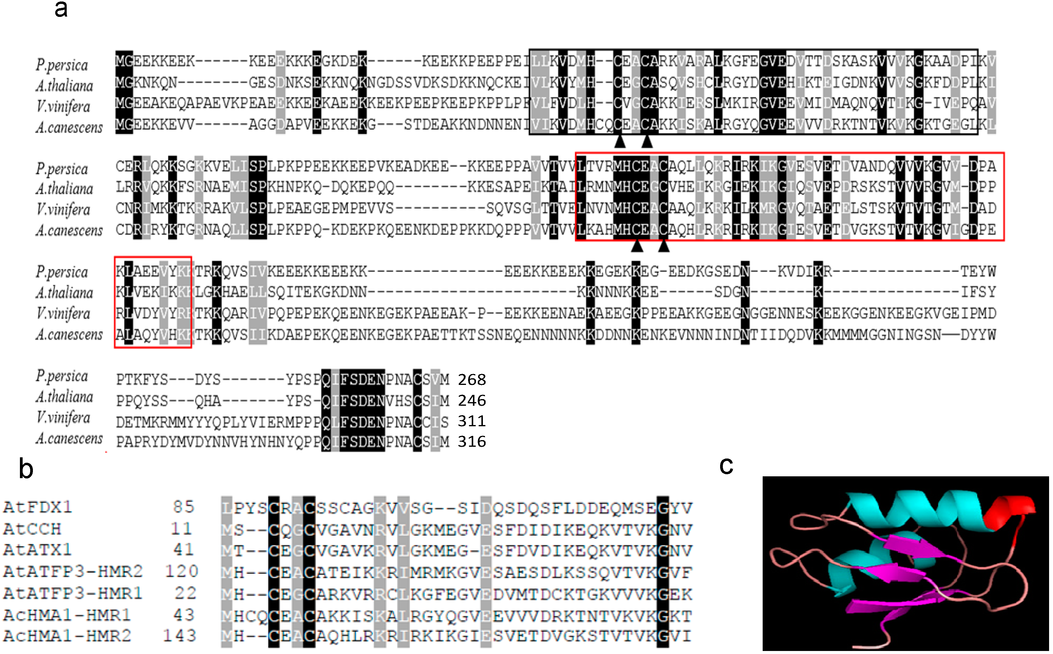 Ijms 15 14891 g001 1024