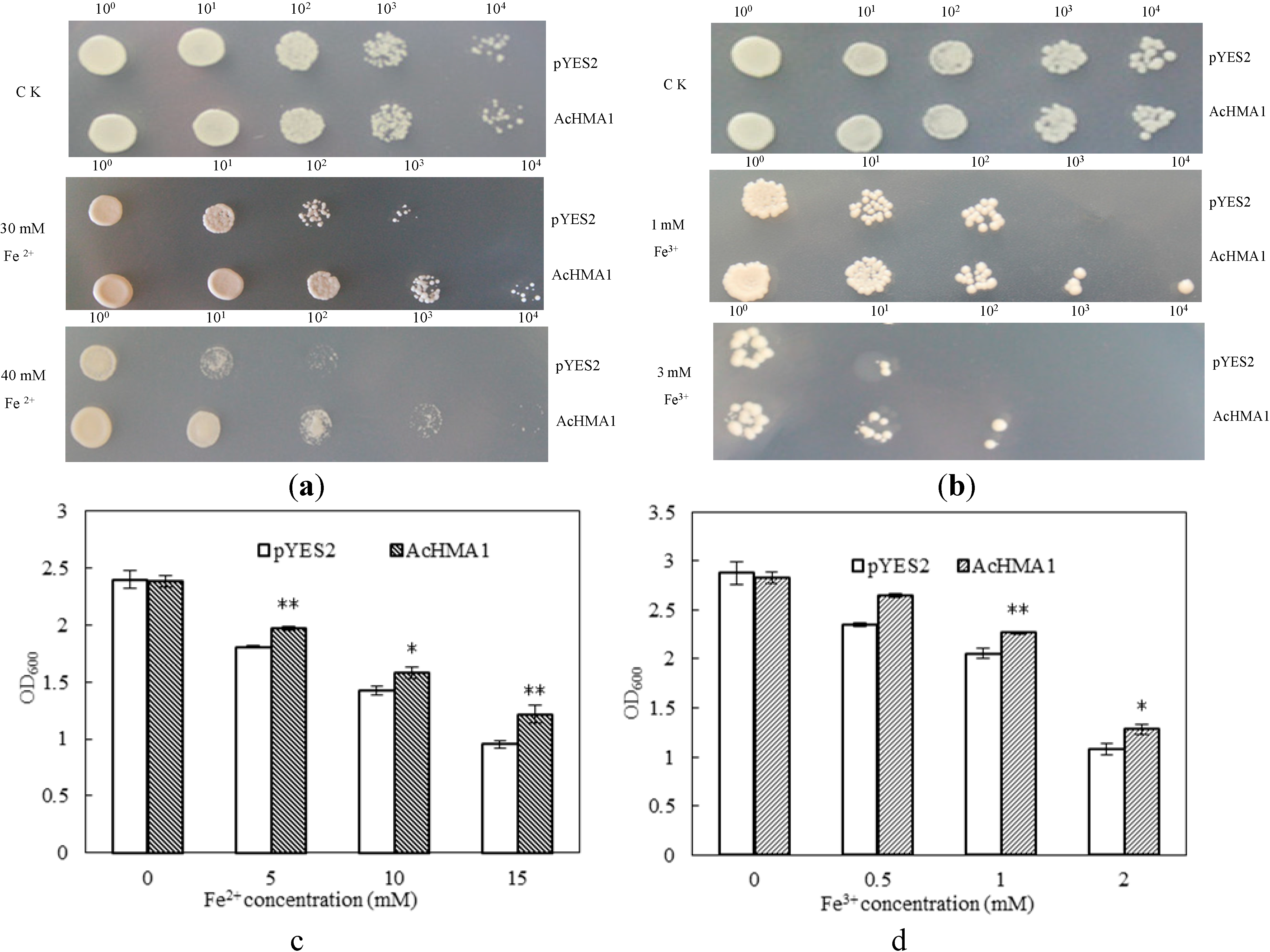 Ijms 15 14891 g003 1024
