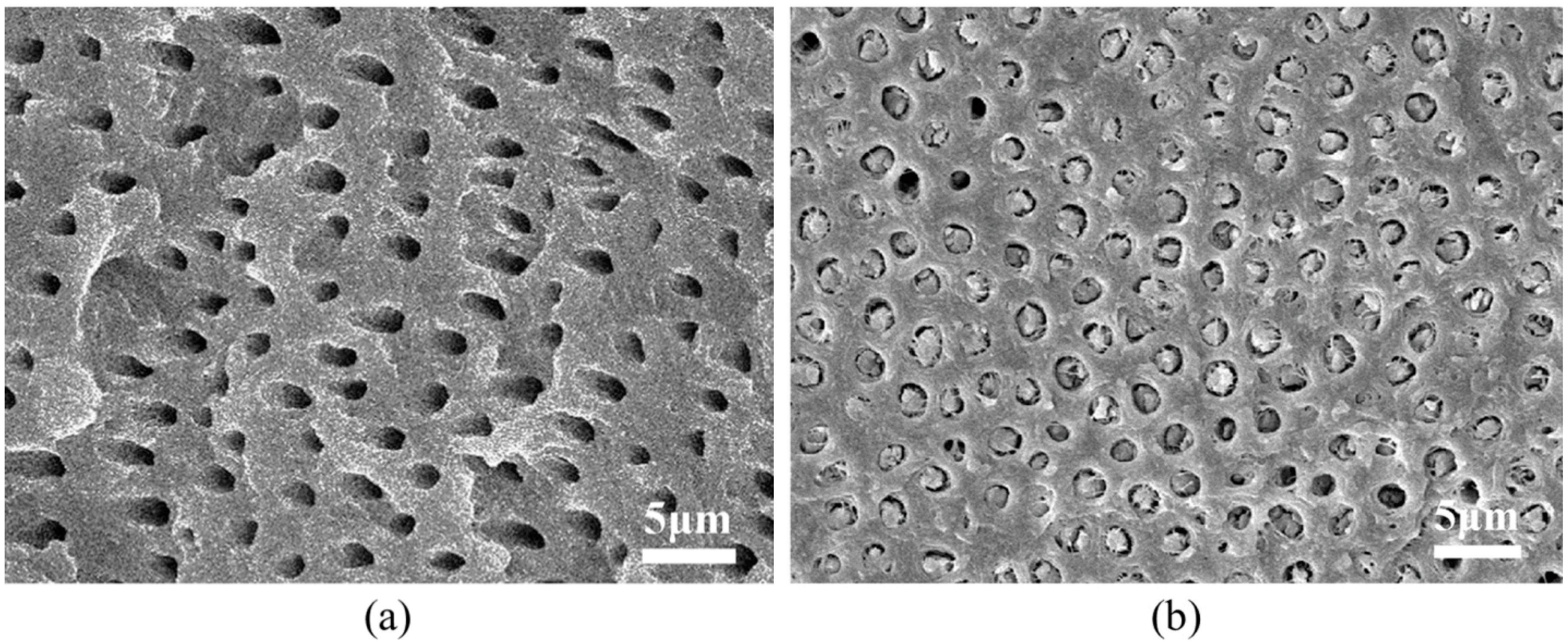 Ijms 15 14909 g002 1024