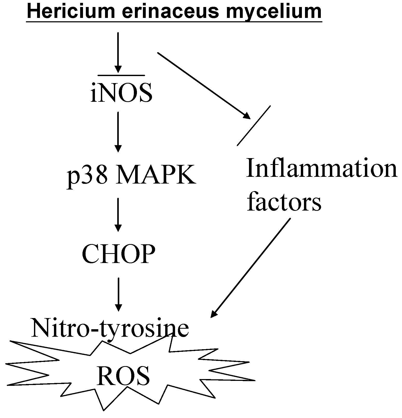 Ijms 15 15073 g007