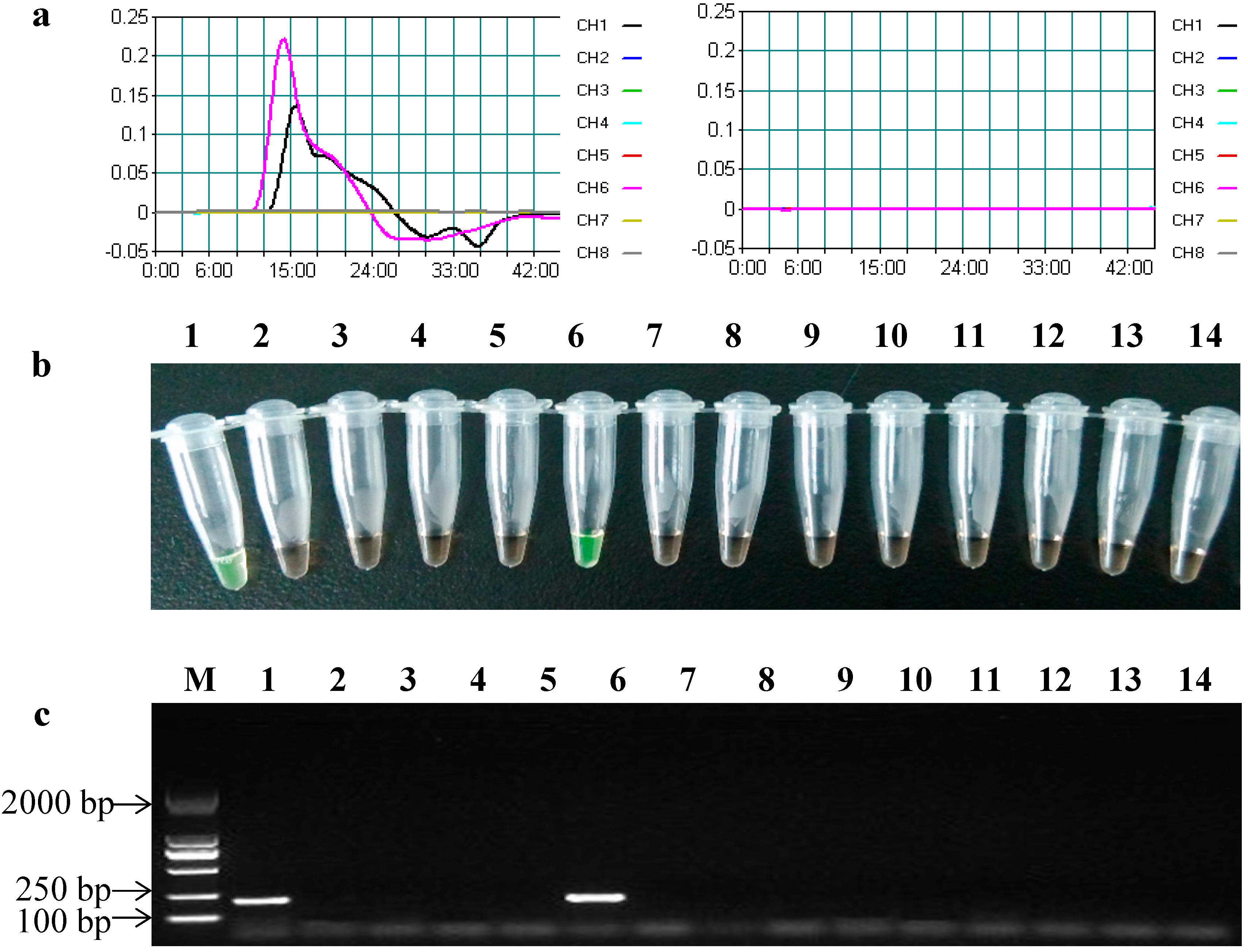 Ijms 15 15109 g002 1024
