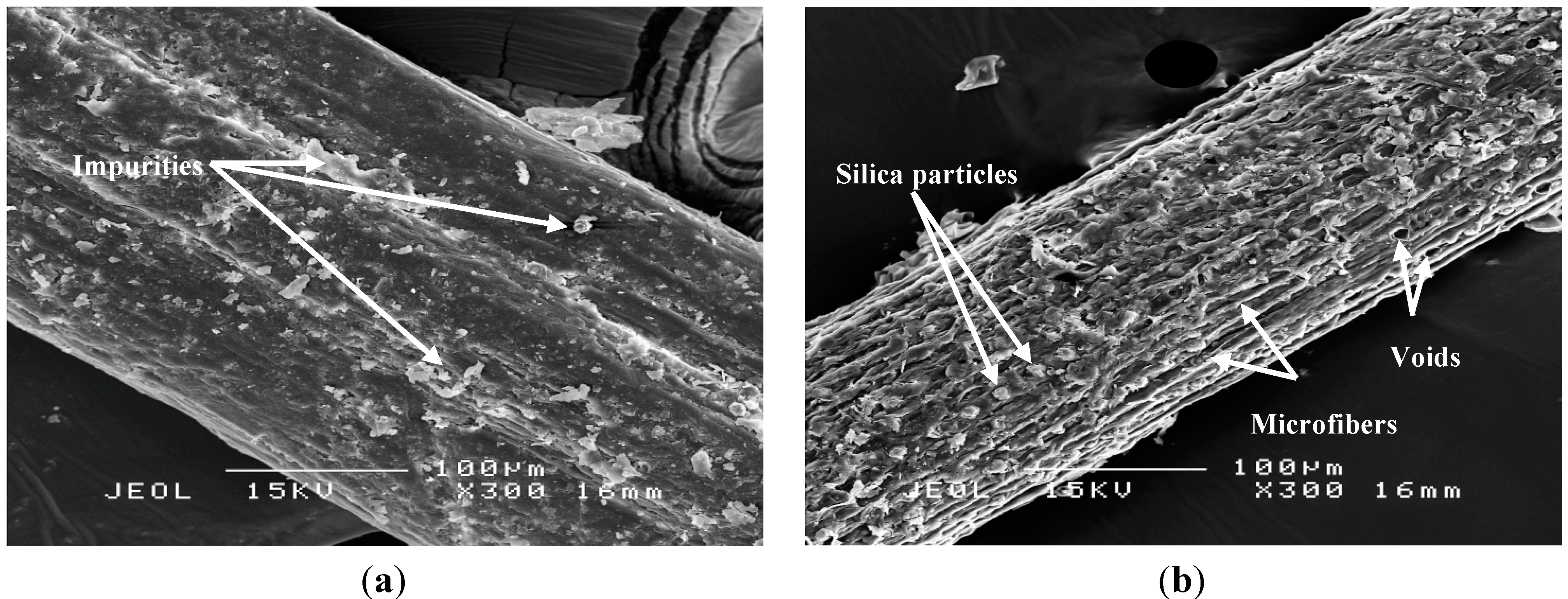 Ijms 15 15344 g002 1024