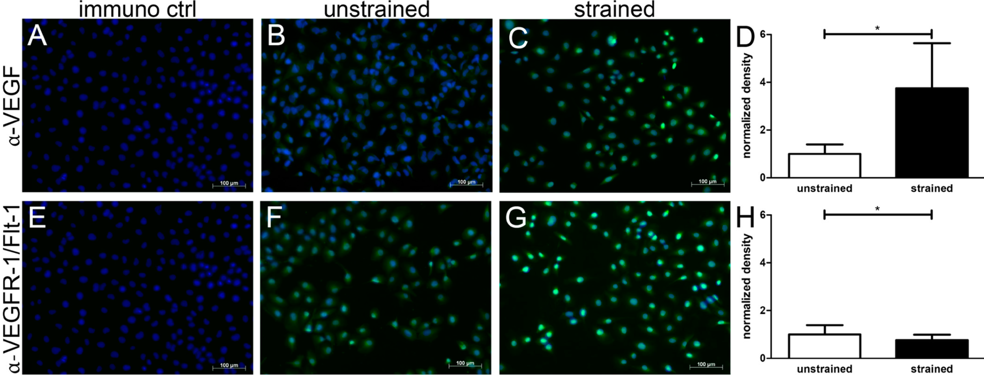 Ijms 15 15456 g004 1024