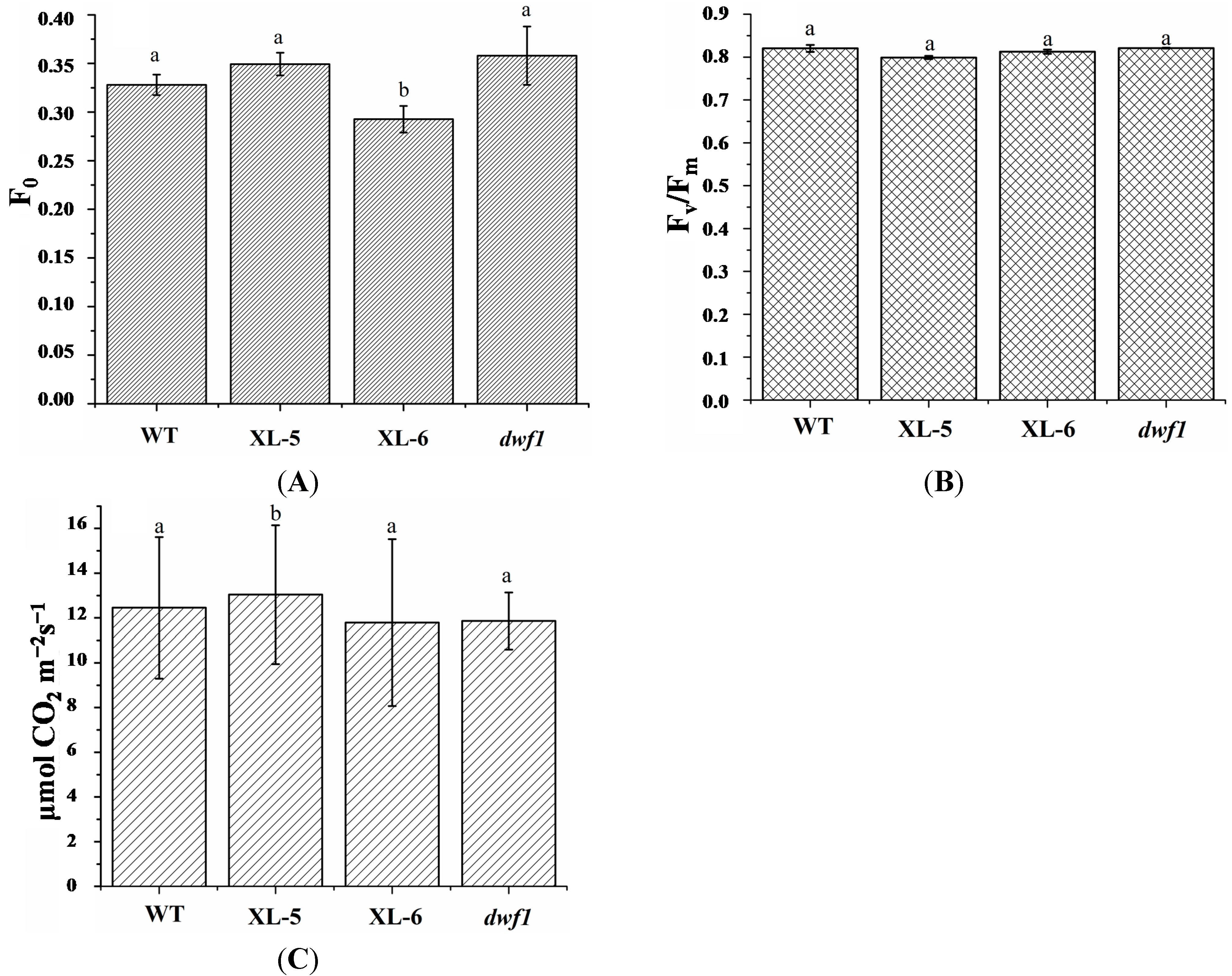 Ijms 15 15603 g004 1024