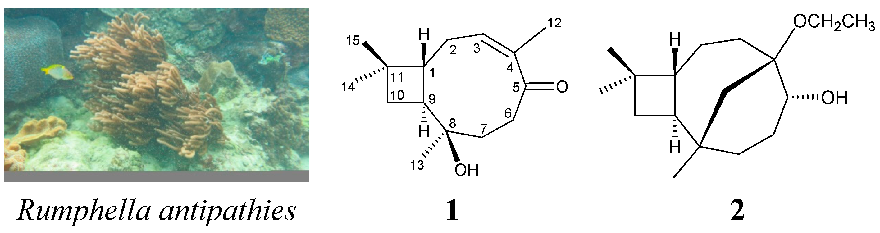 Ijms 15 15679 g005
