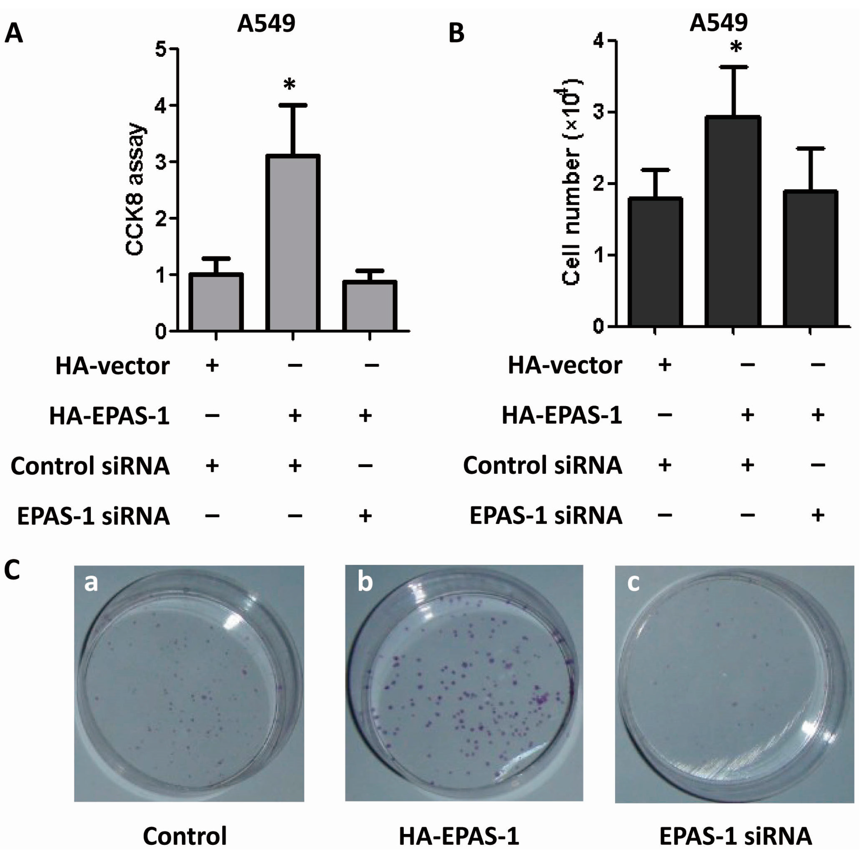 Ijms 15 15689 g005 1024
