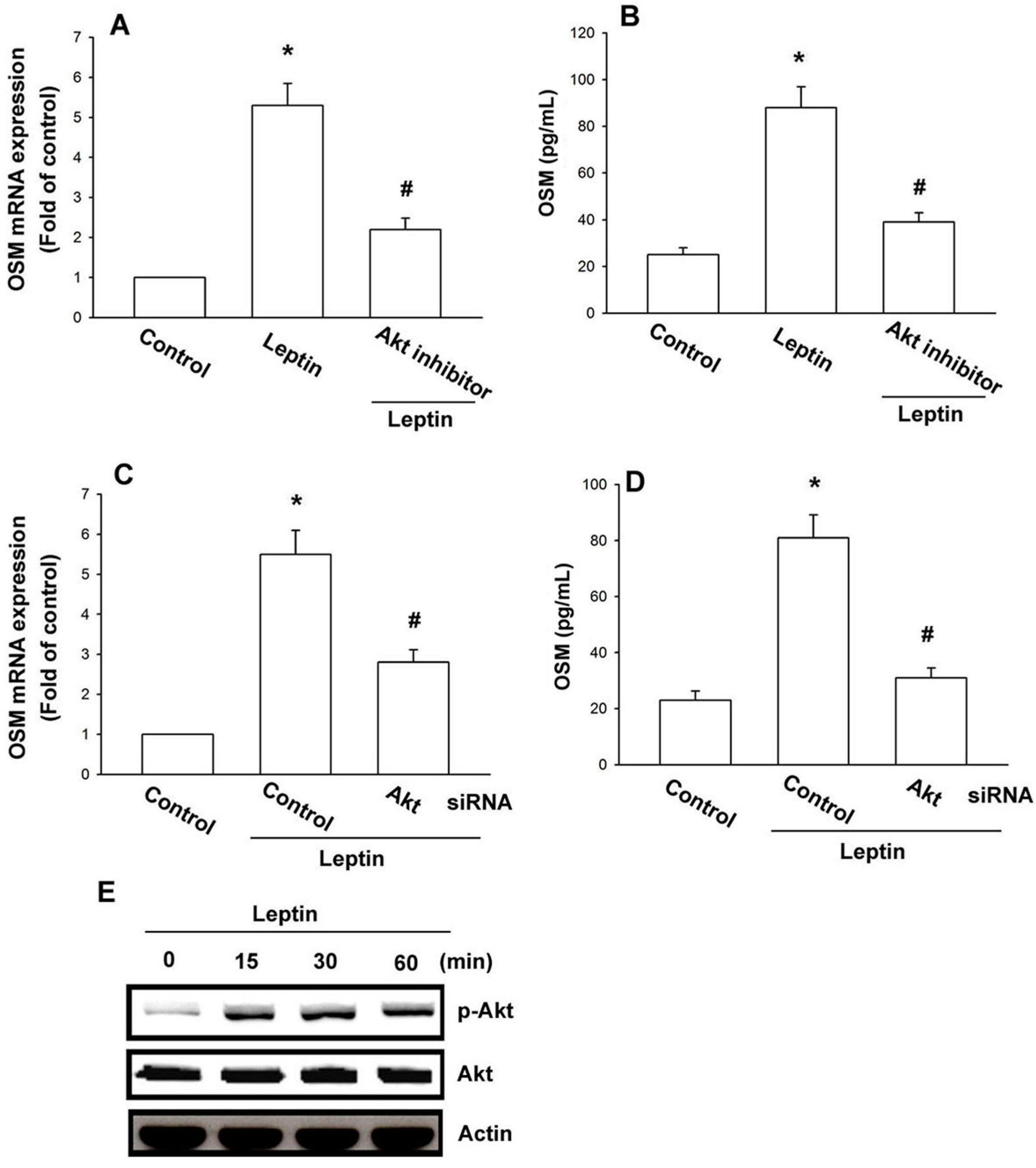 Ijms 15 15778 g004 1024