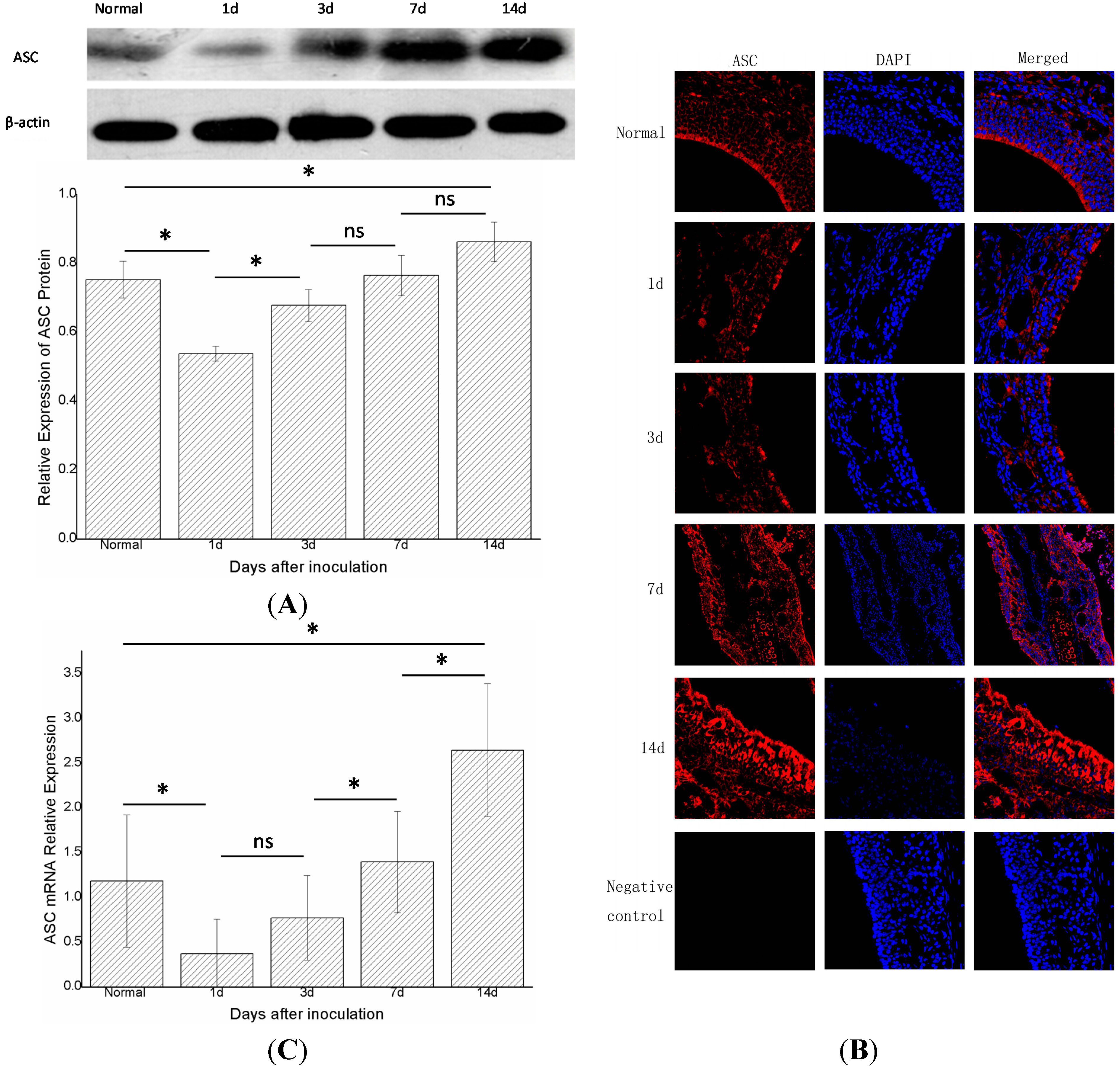 Ijms 15 15806 g004 1024