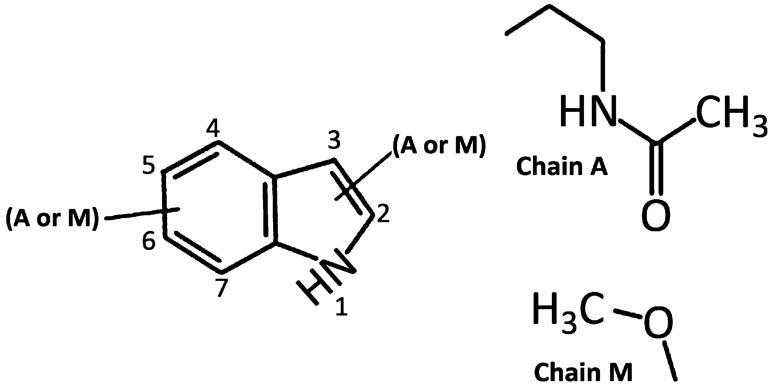 Fundamental Issues Related to the Origin of Melatonin and