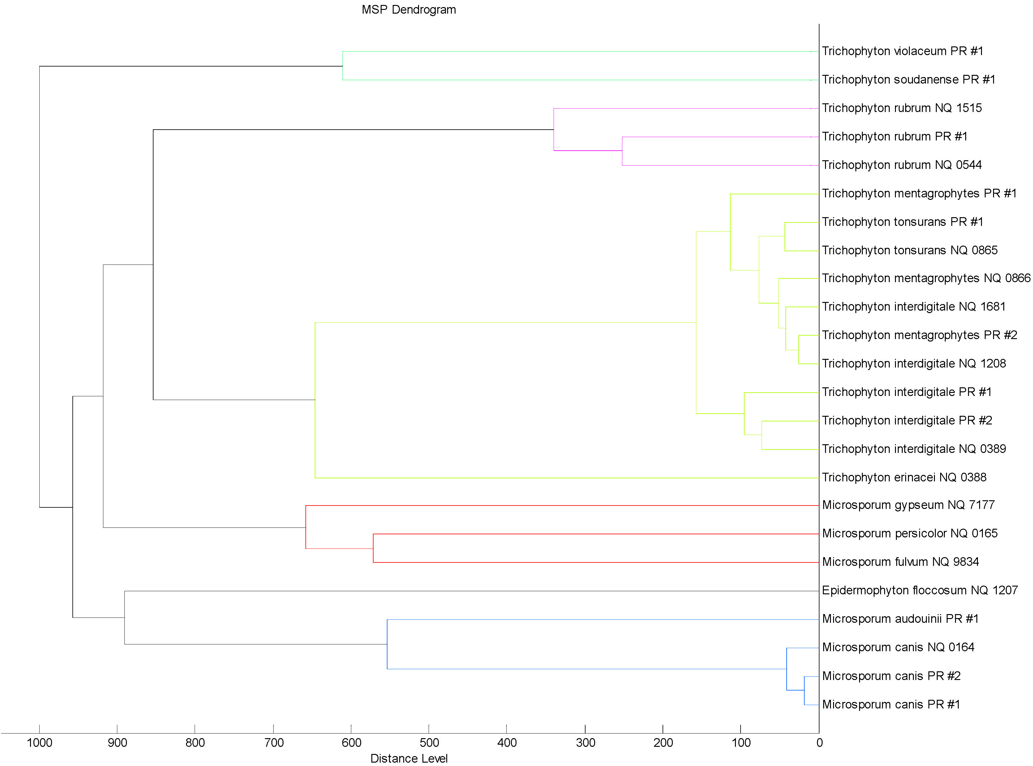 Ijms 15 16012 g002 1024
