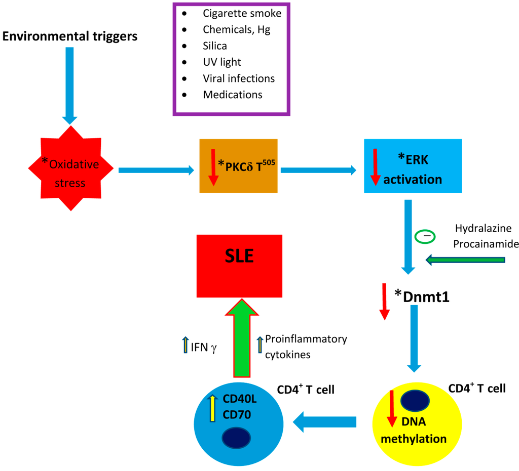 Ijms free full text environmental factors toxicants and systemic