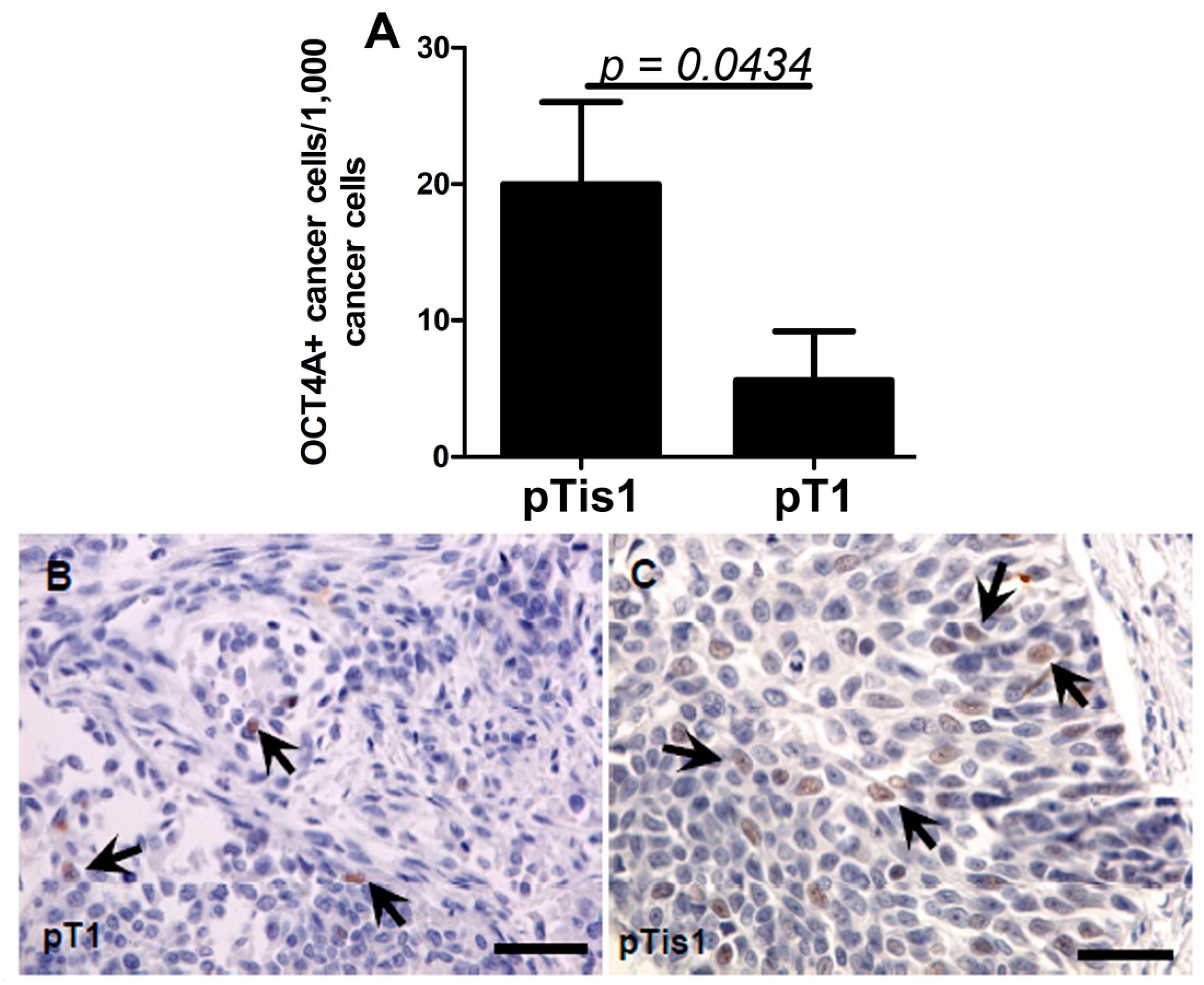 Ijms 15 16069 g003 1024