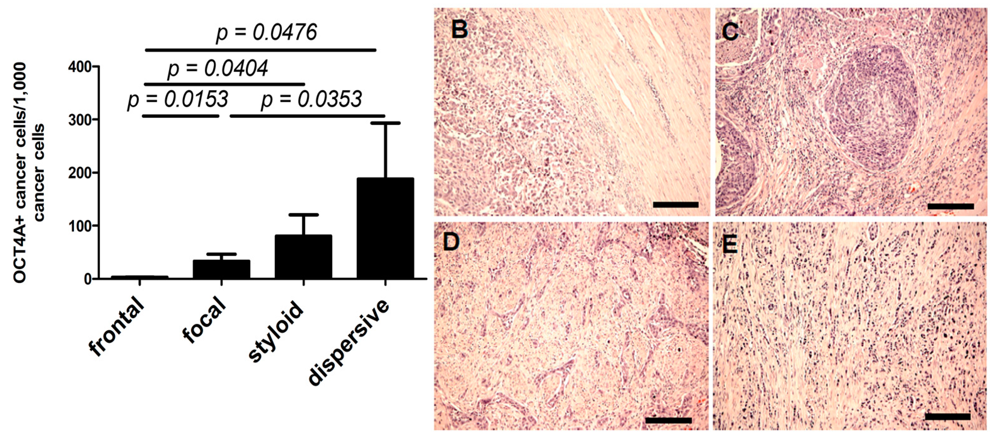 Ijms 15 16069 g005 1024