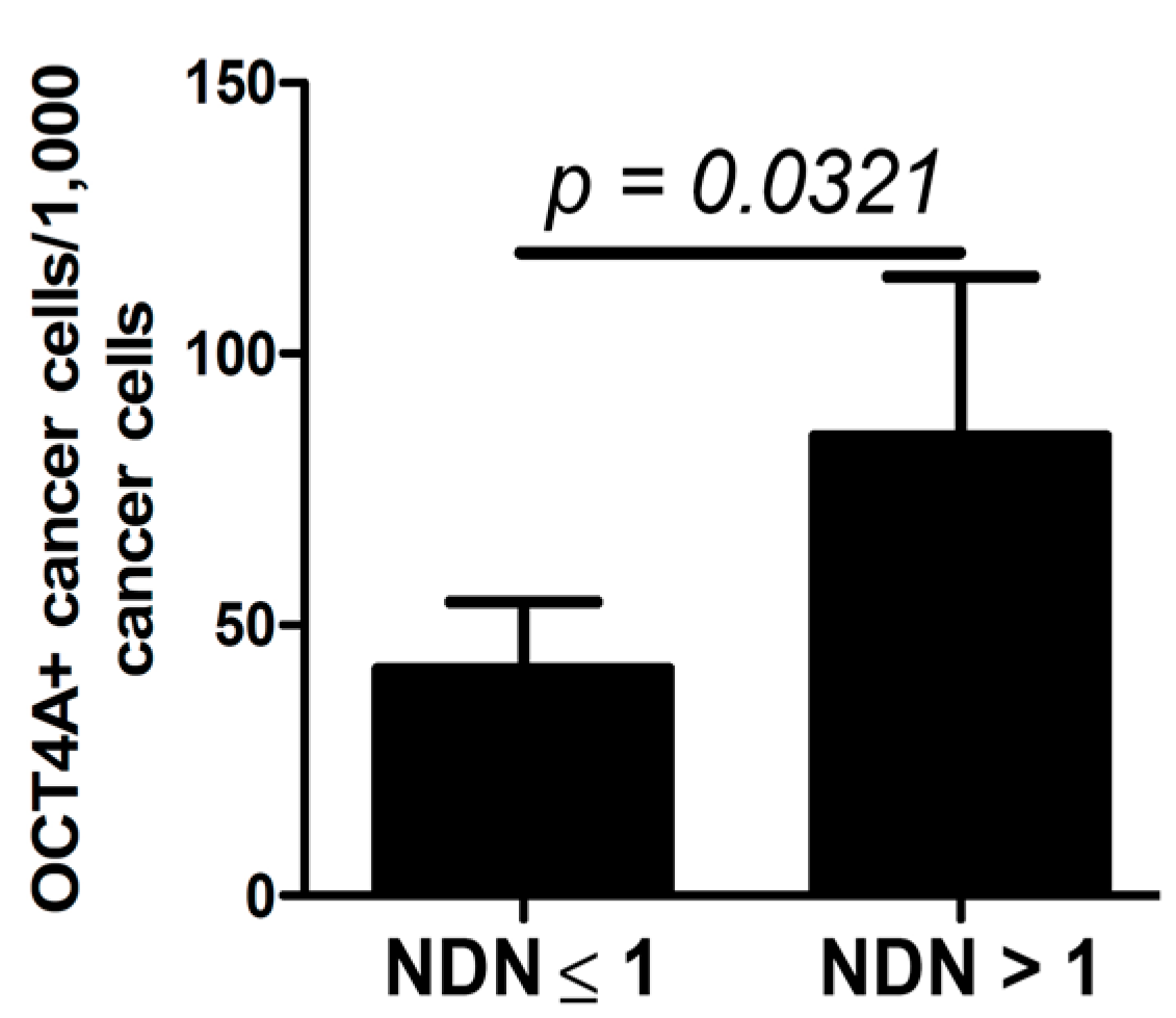 Ijms 15 16069 g006 1024