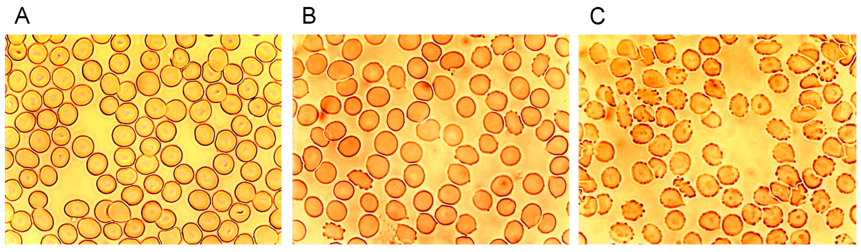 Ijms 15 16134 g001 1024