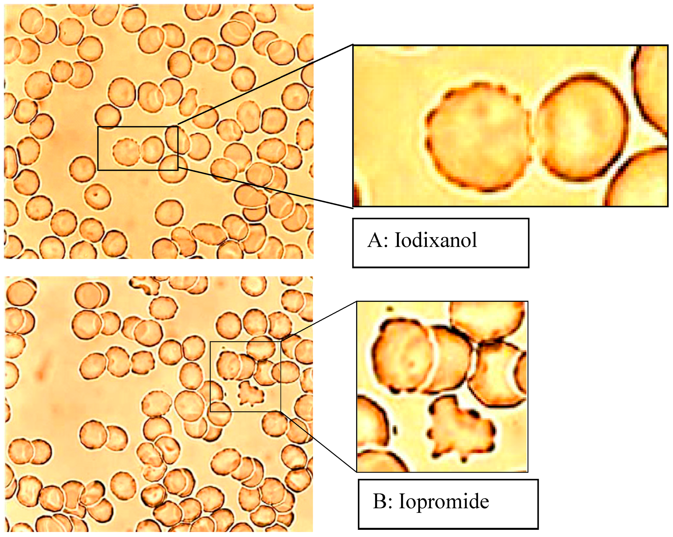 Ijms 15 16134 g002 1024