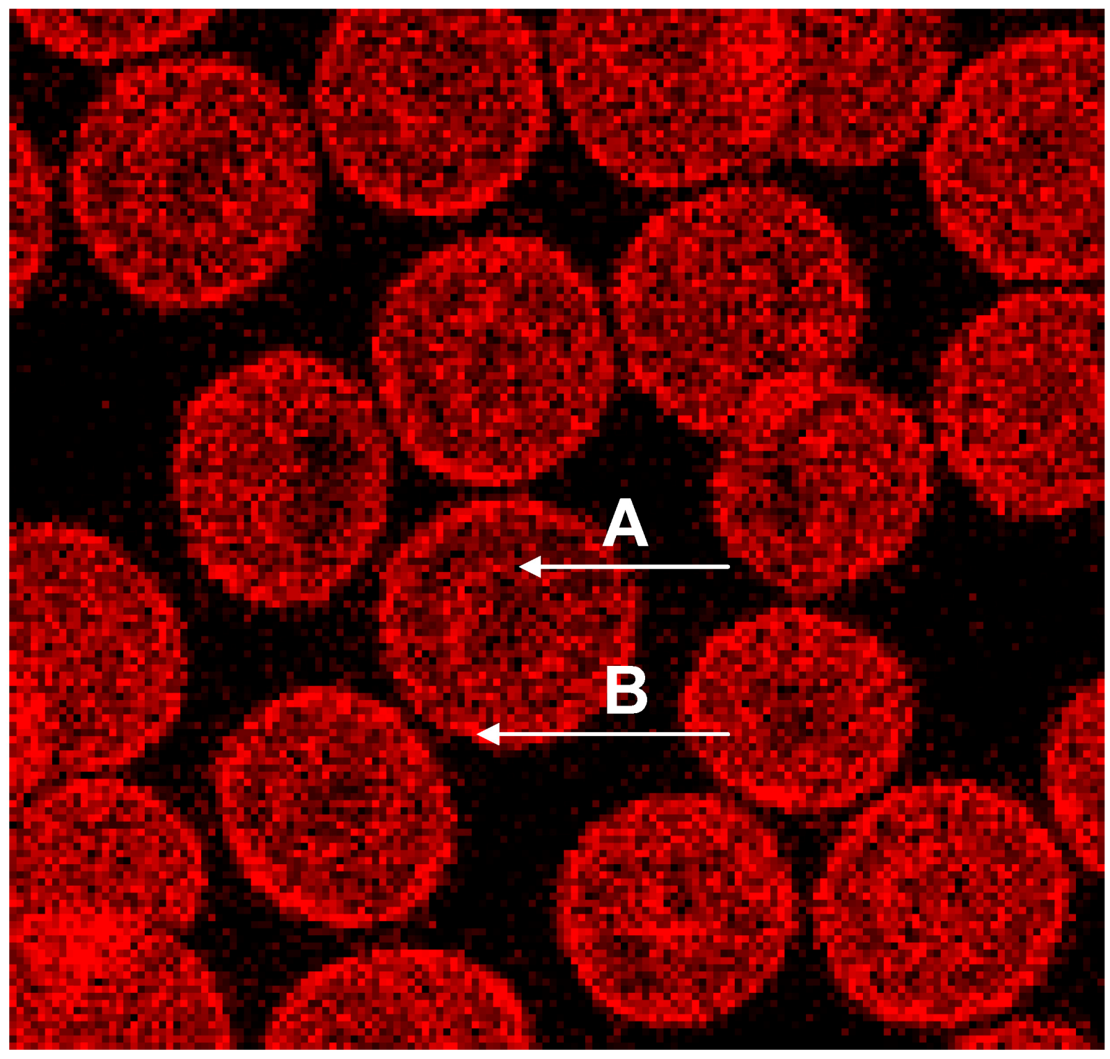Ijms 15 16134 g004 1024