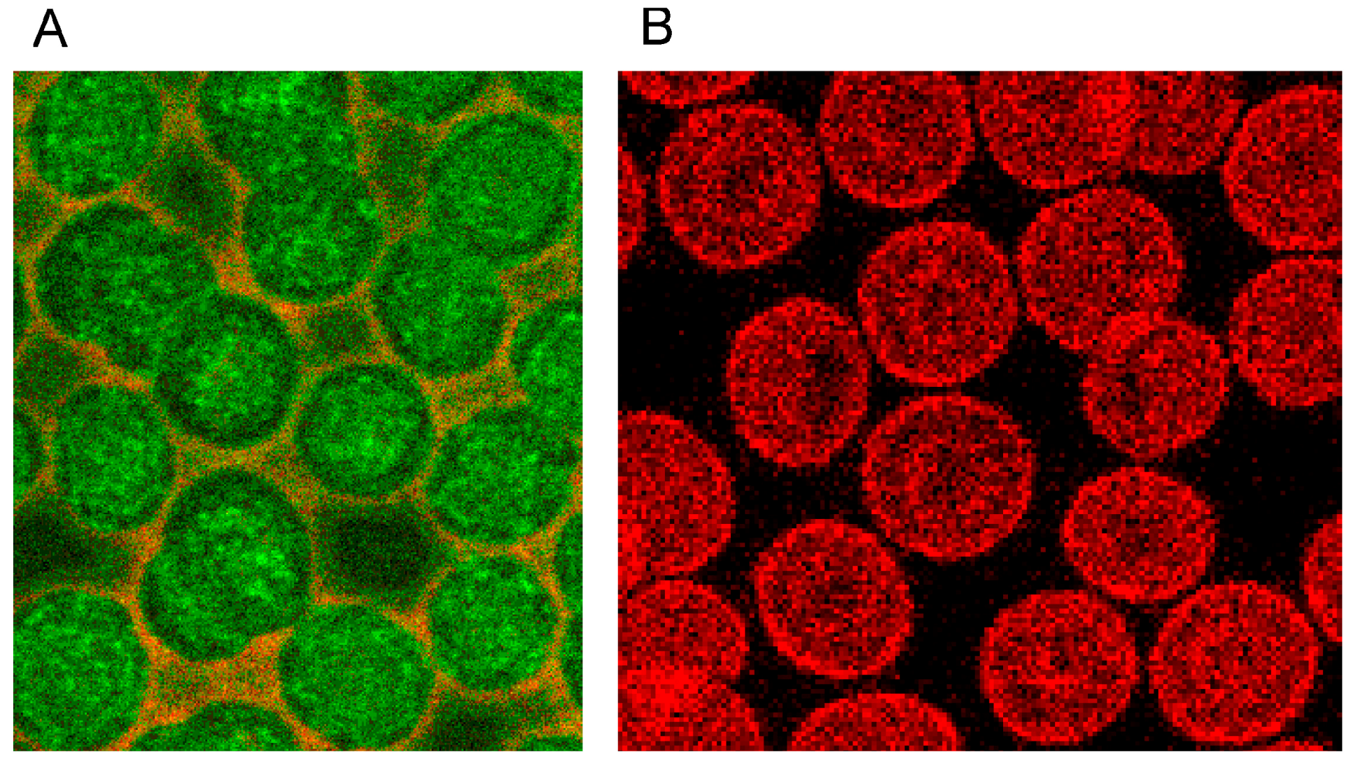 Ijms 15 16134 g013 1024