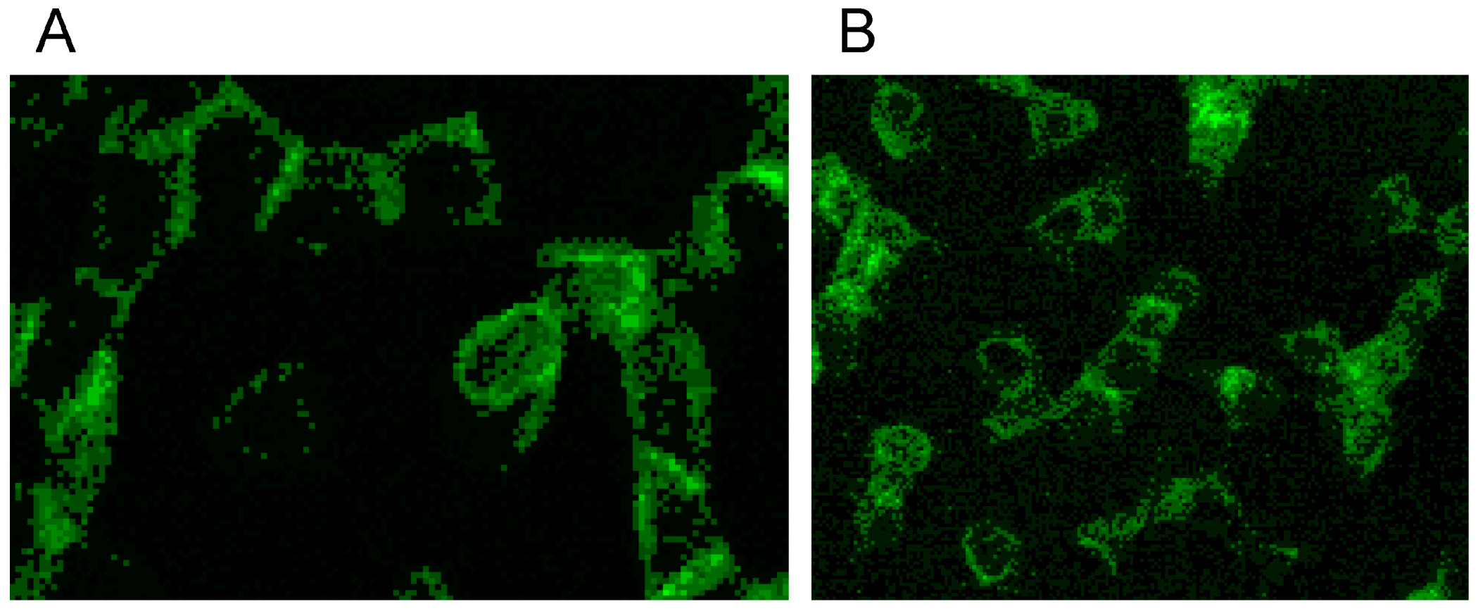 Ijms 15 16134 g014 1024
