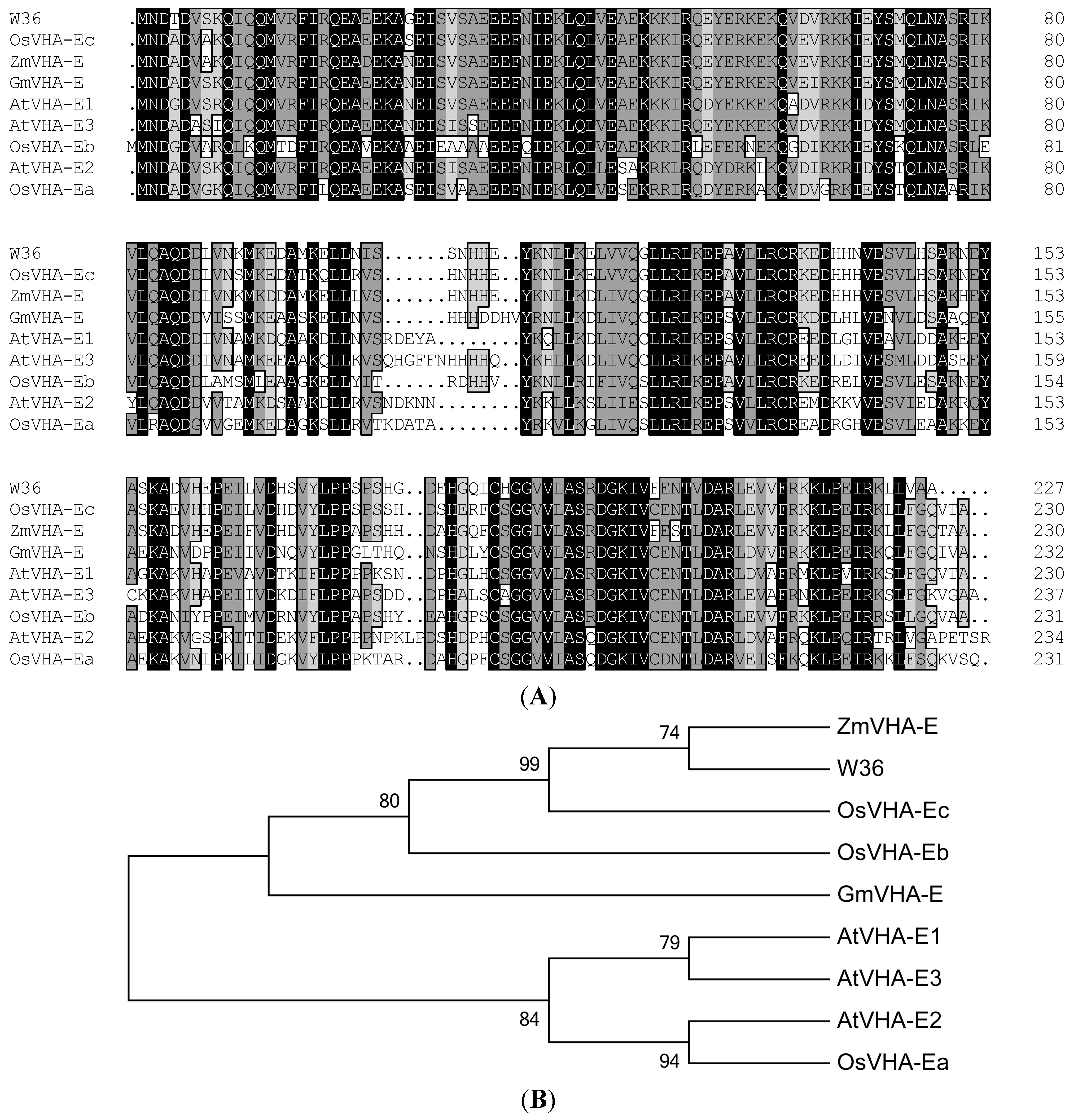 Ijms 15 16196 g001 1024
