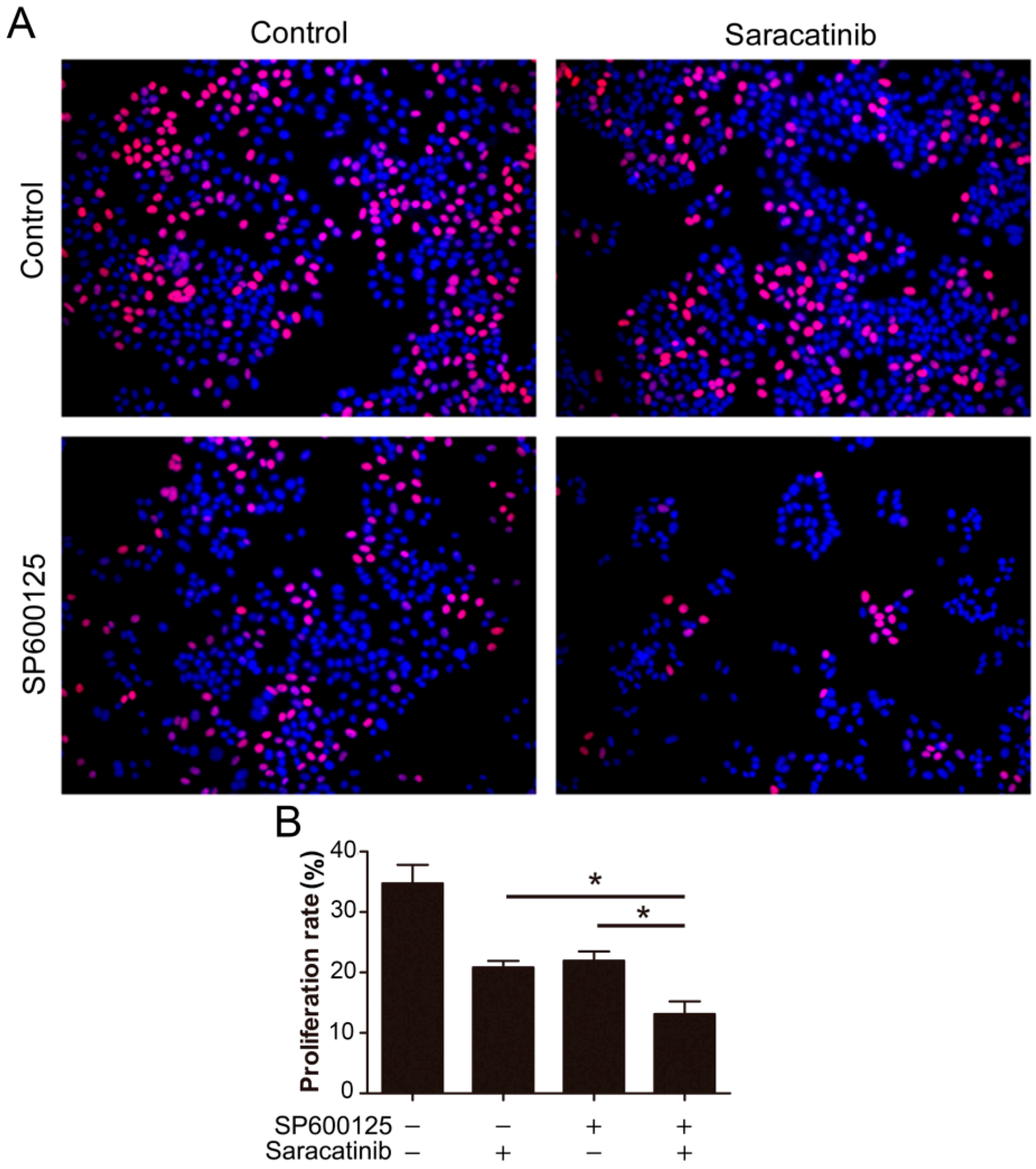 Ijms 15 16246 g005