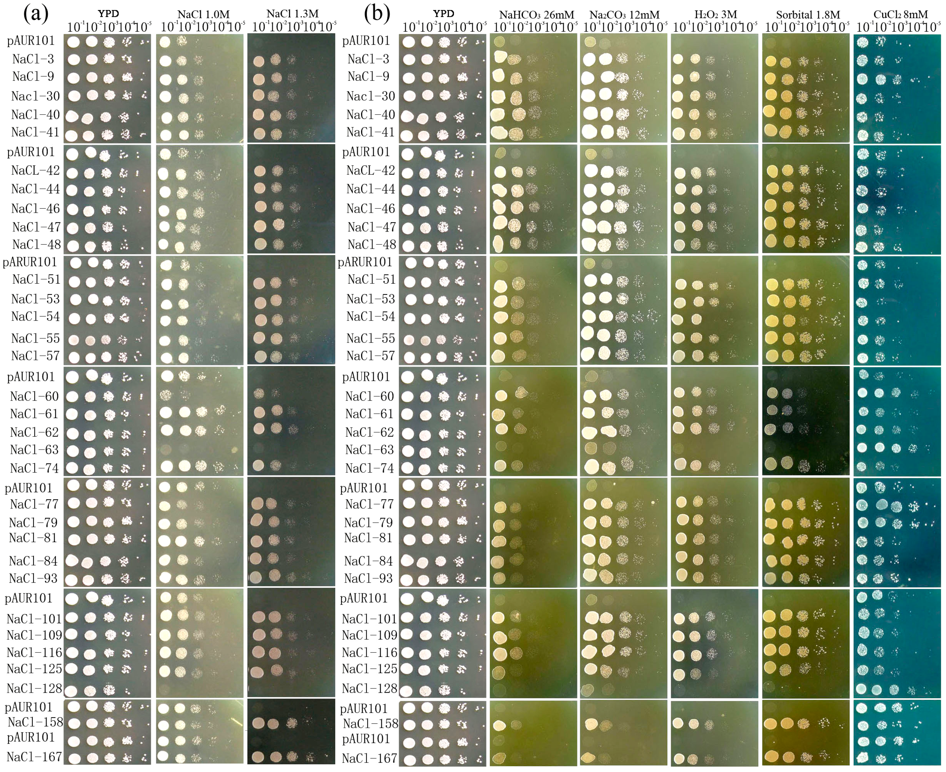 Ijms 15 16469 g001 1024