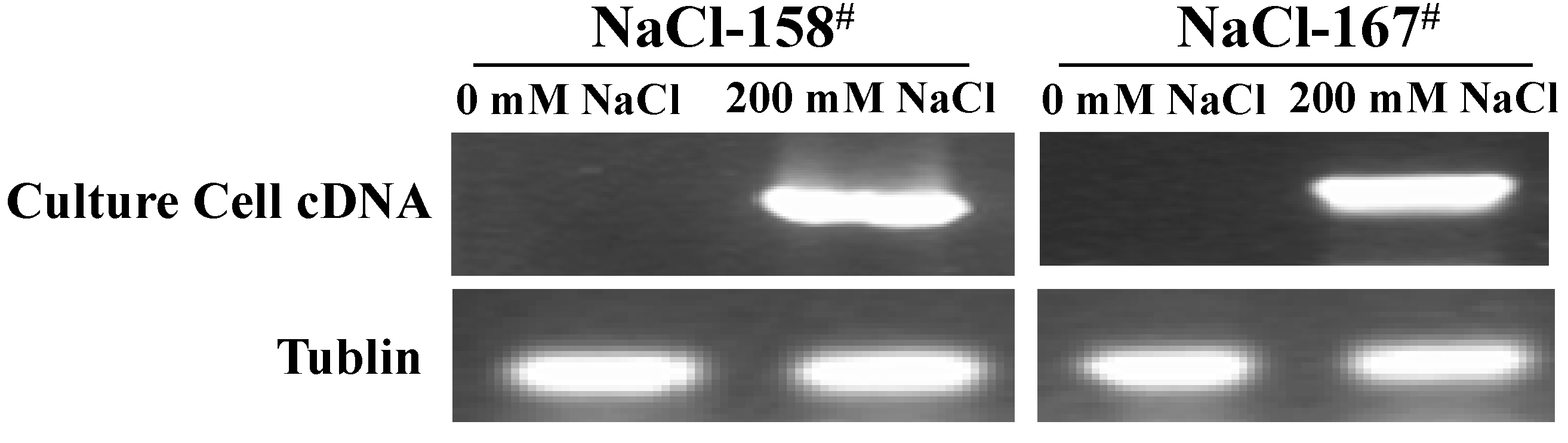 Ijms 15 16469 g002 1024