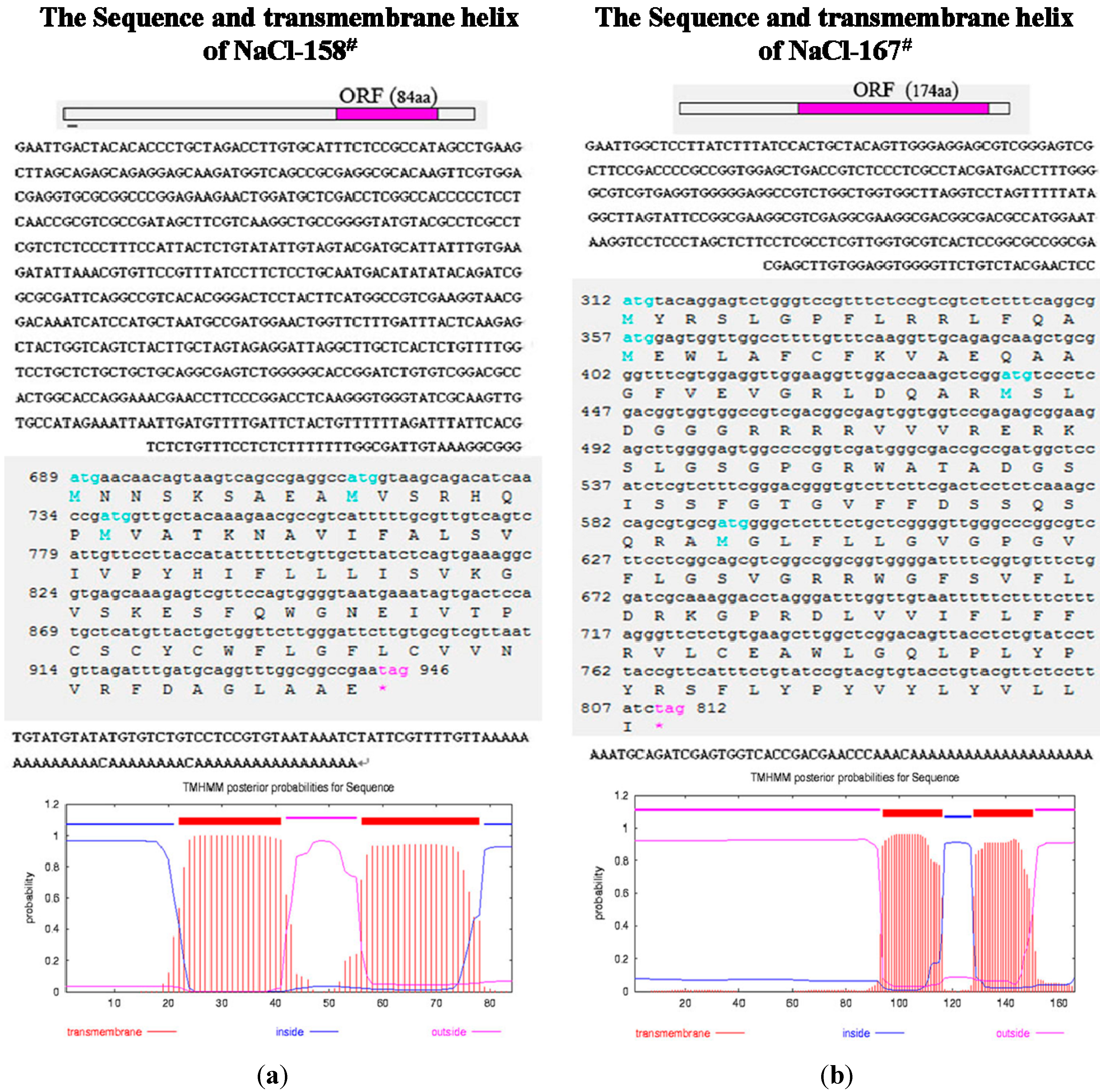 Ijms 15 16469 g003 1024