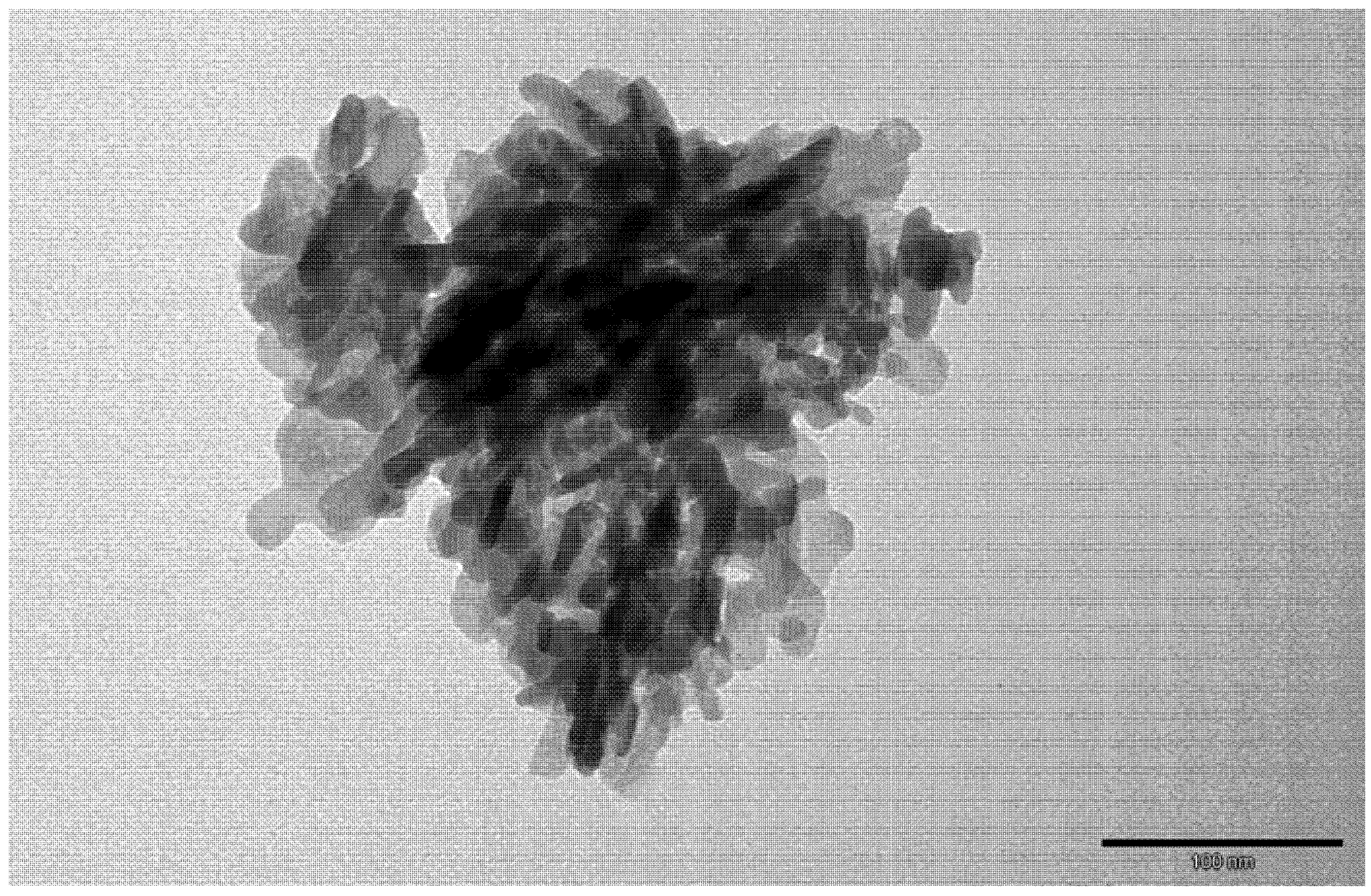 Ijms 15 16831 g005 1024