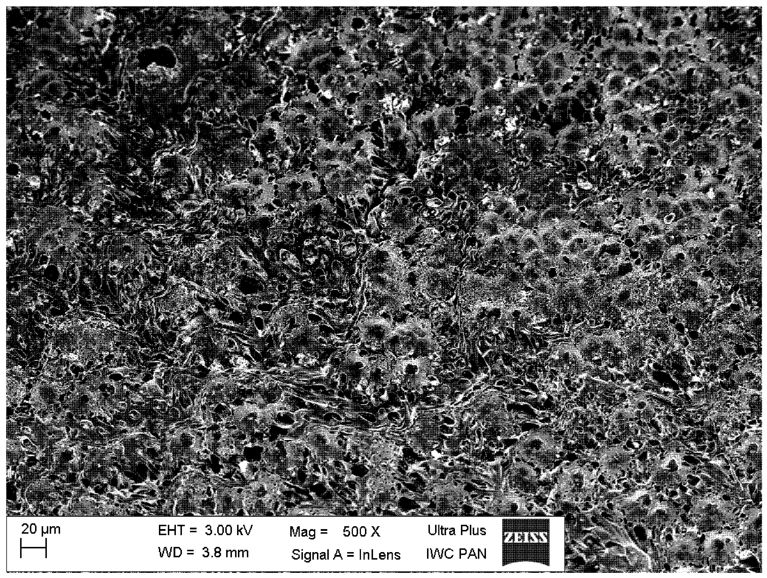 Ijms 15 16831 g006 1024