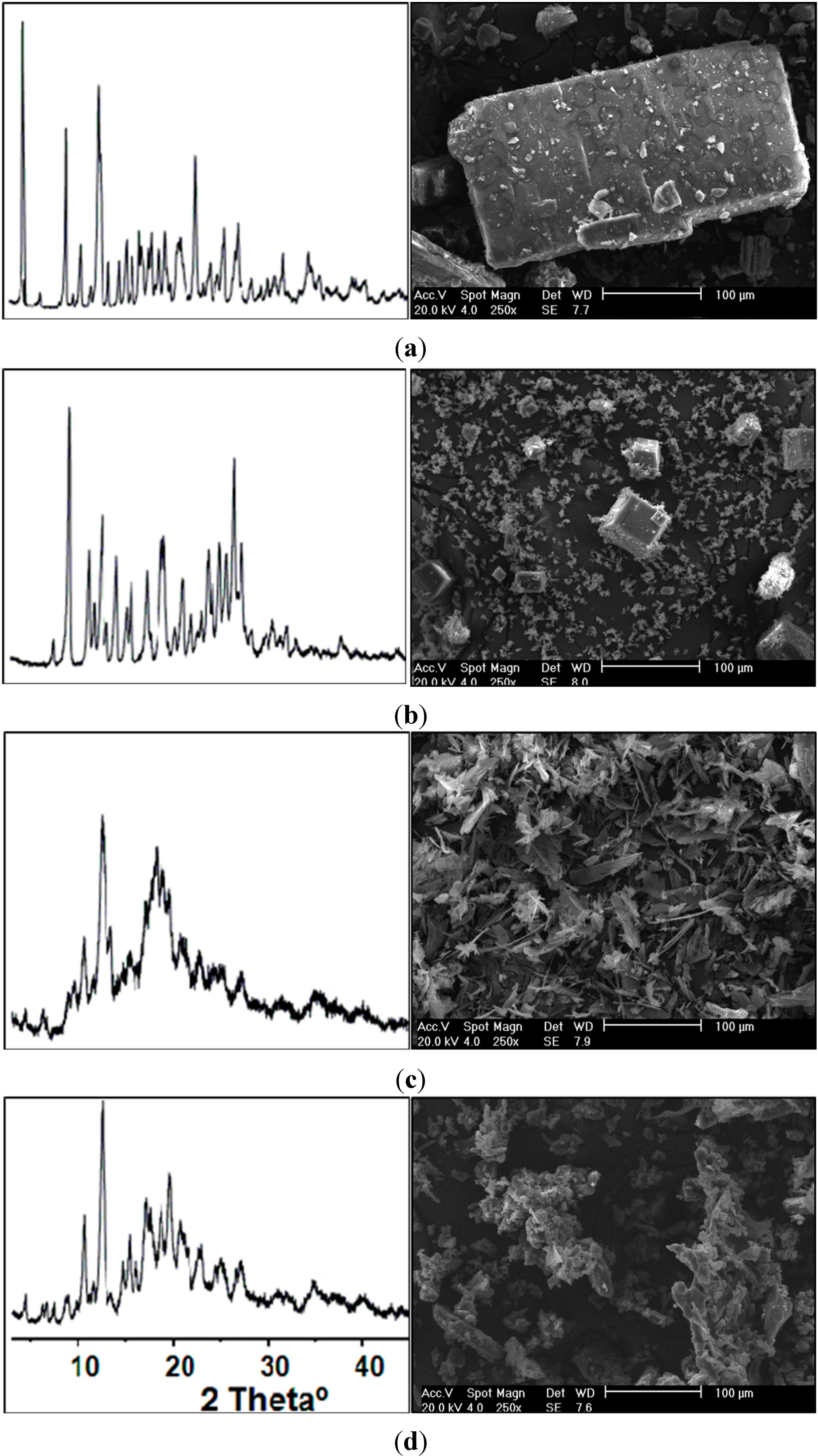 Ijms 15 17077 g006 1024