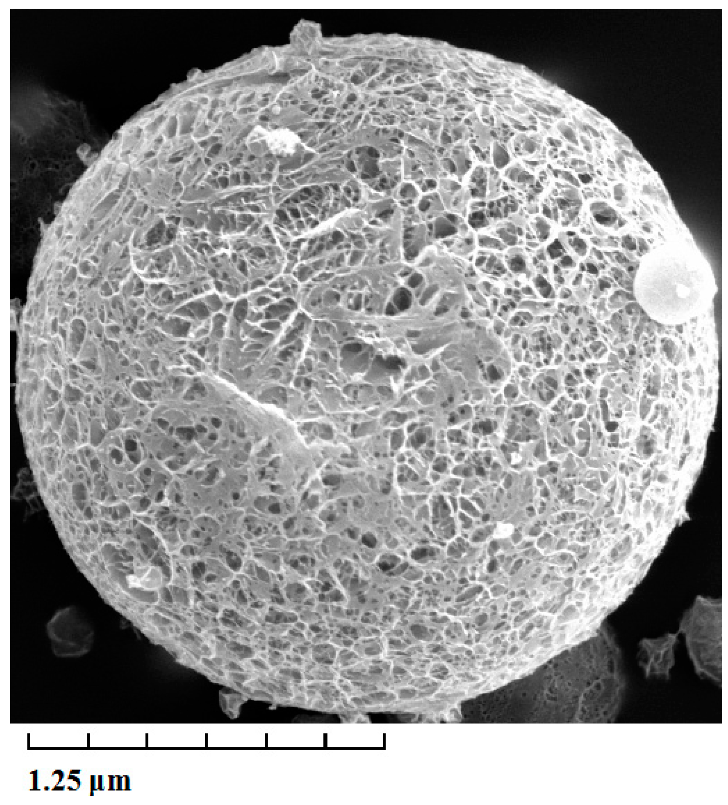 Ijms 15 17469 g001 1024