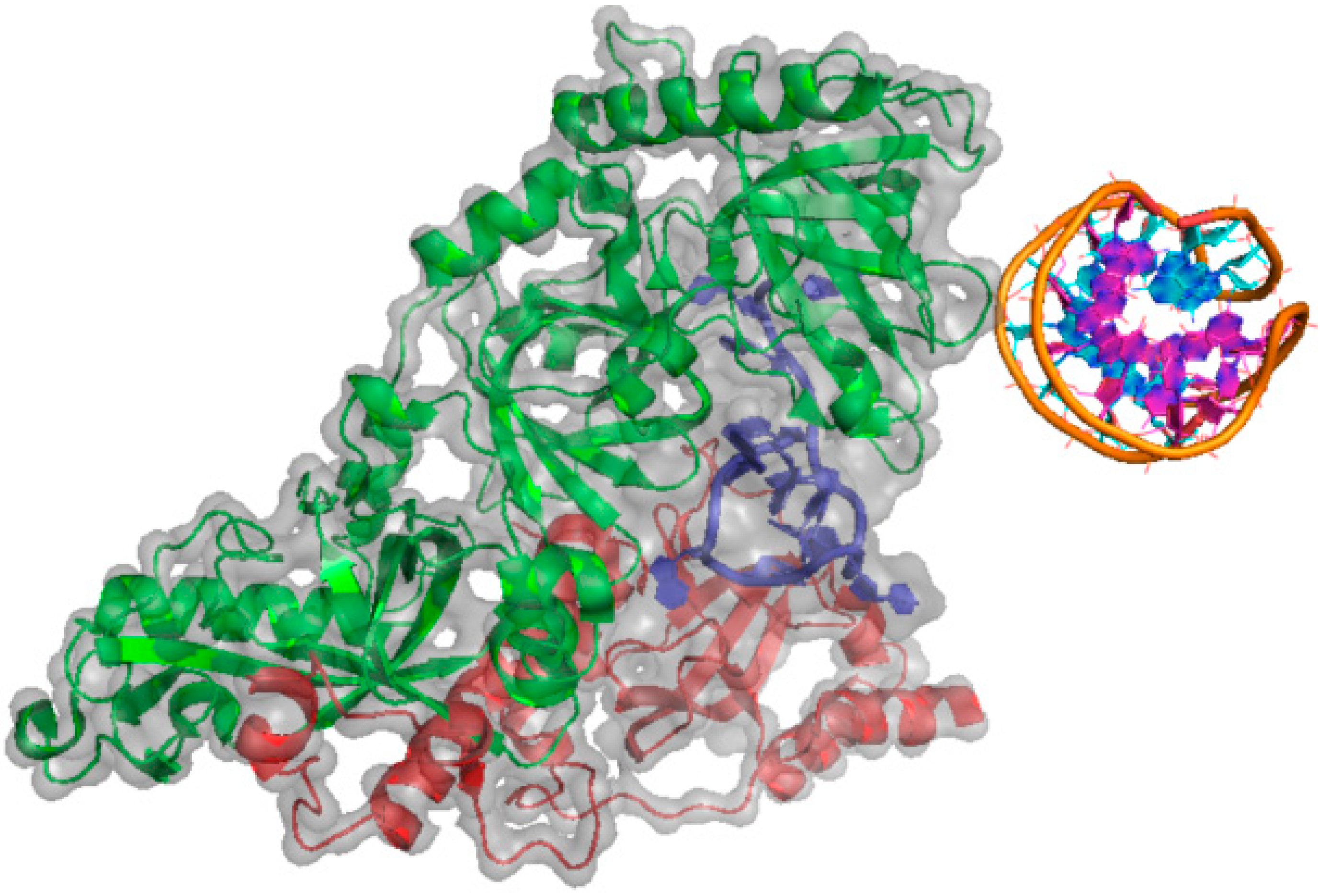 Ijms 15 17493 g003