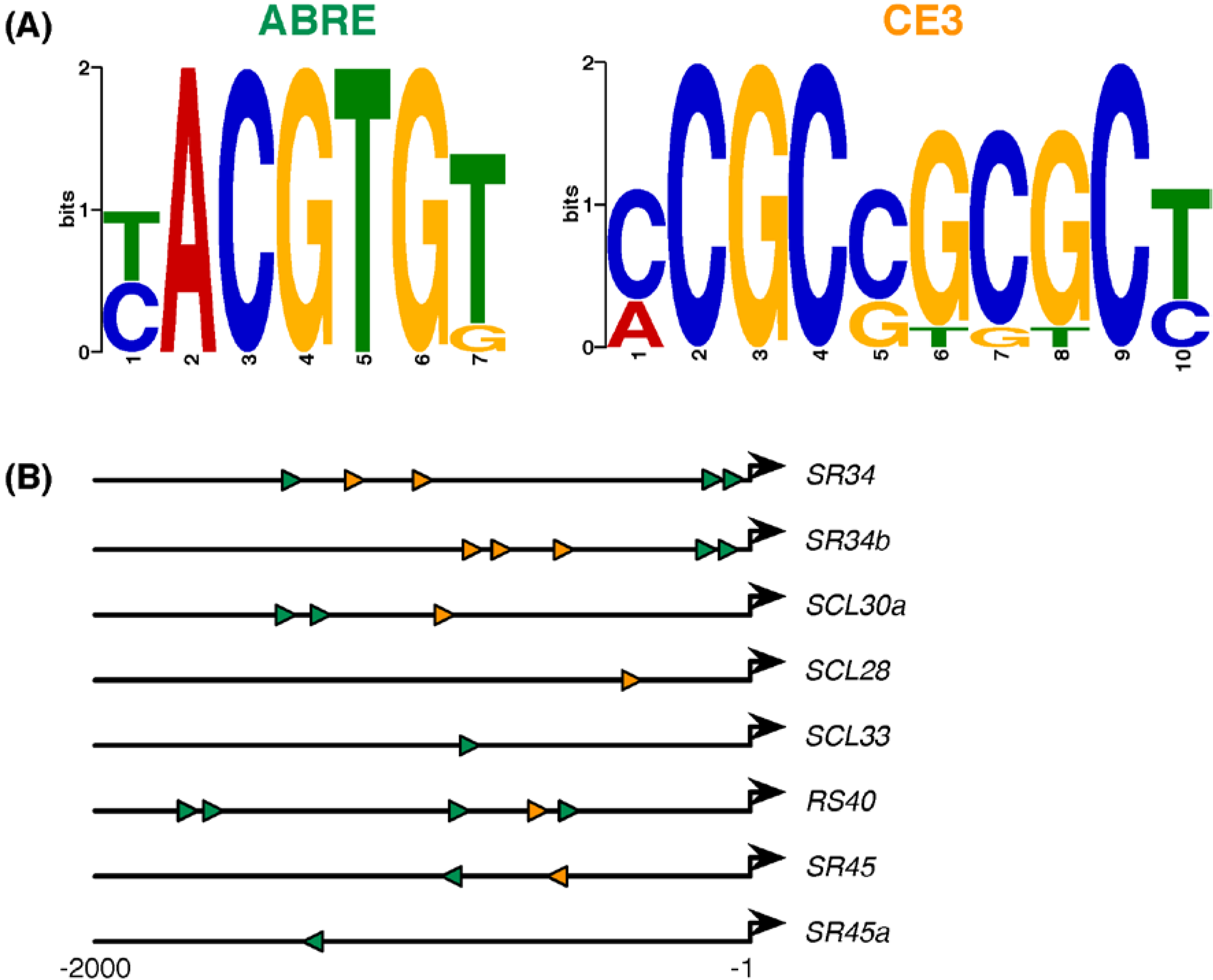 Ijms 15 17541 g006 1024