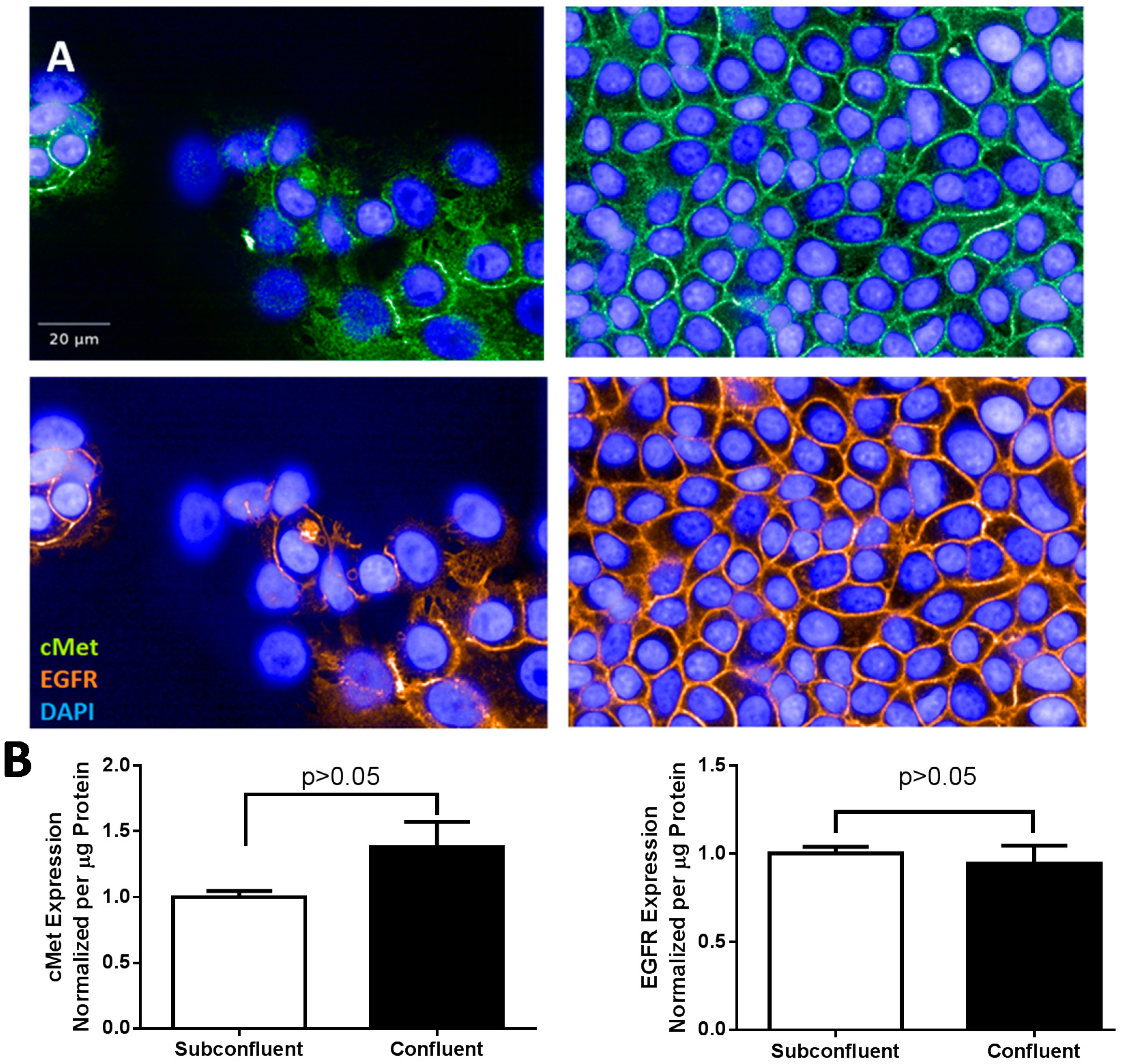 Ijms 15 17686 g002 1024
