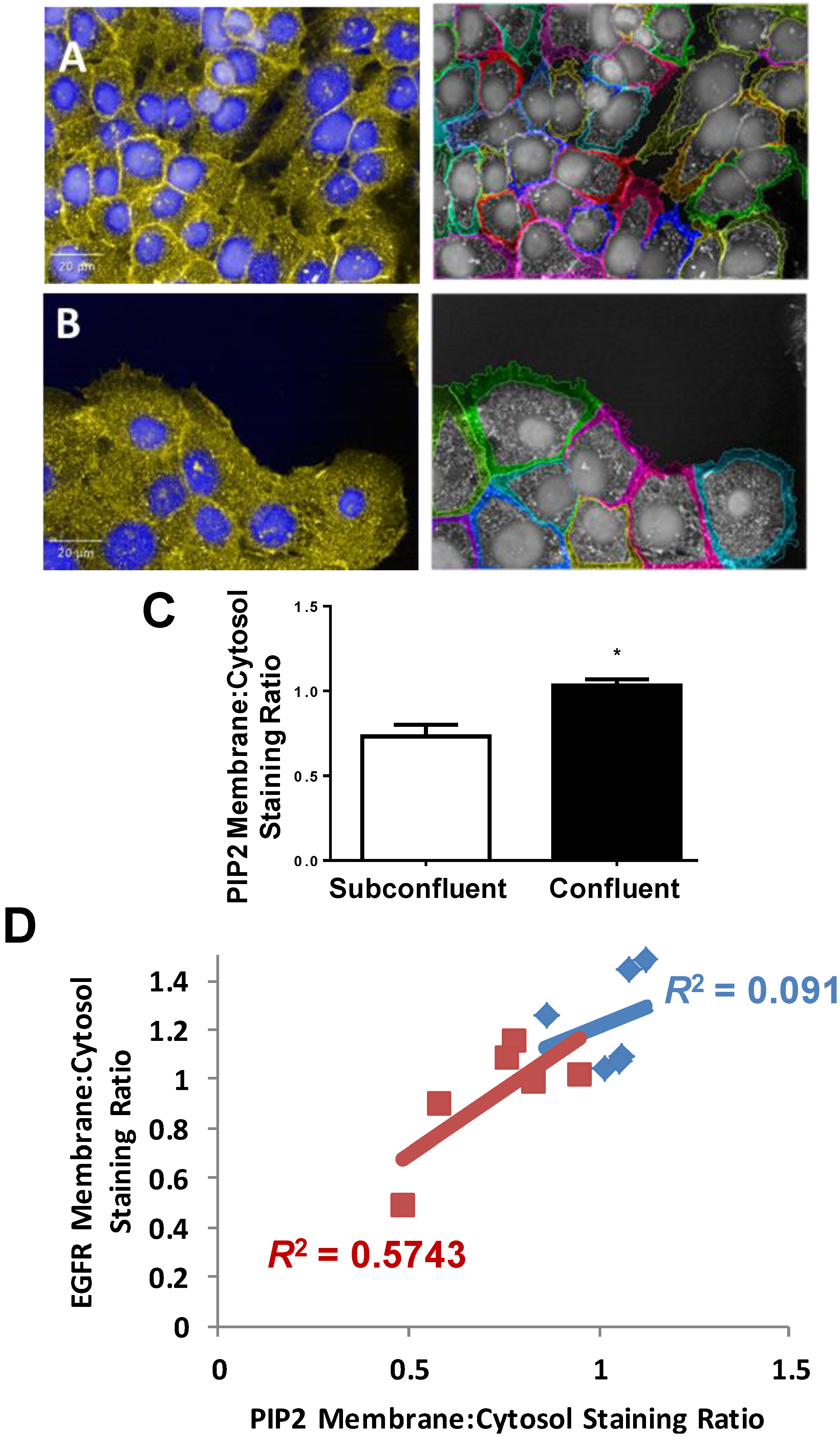 Ijms 15 17686 g007 1024
